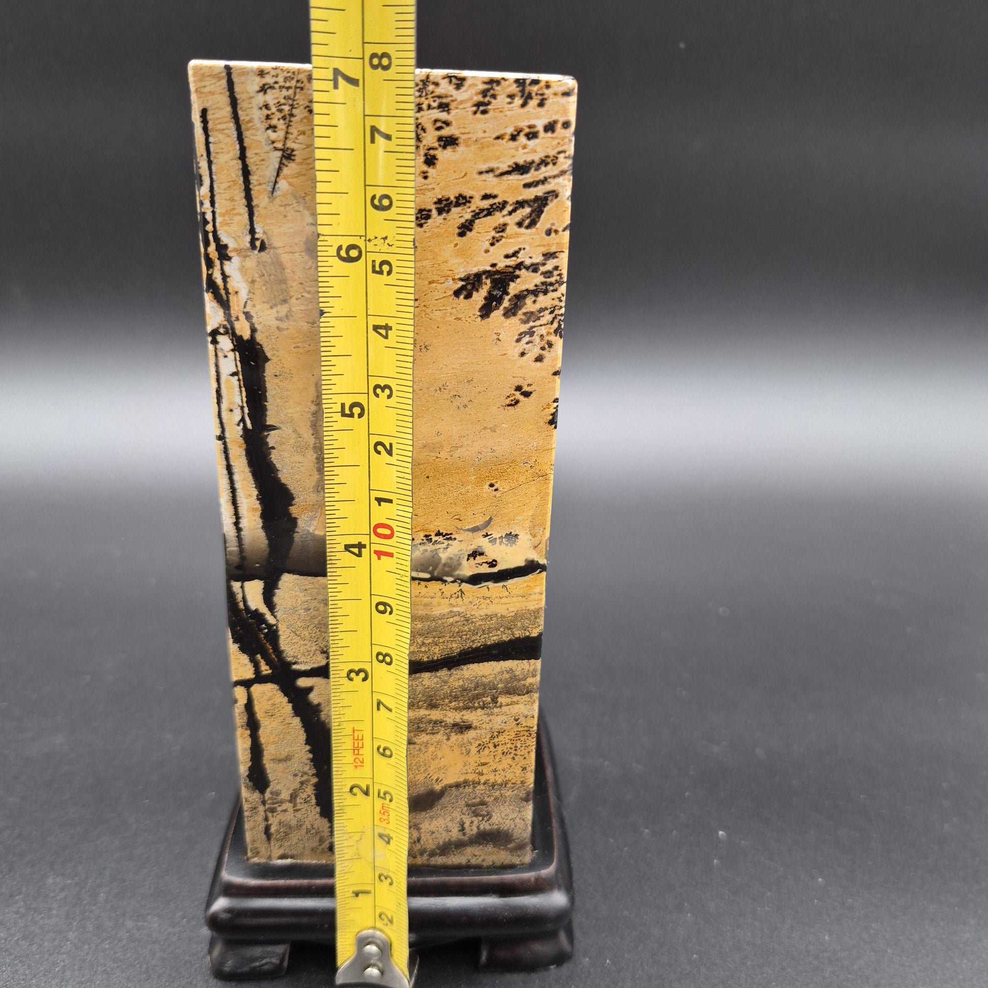 AAA+ Picture Jasper on Wood Base | Natural Scenic Stone Display | 3.16 lbs Crystal Hoarder