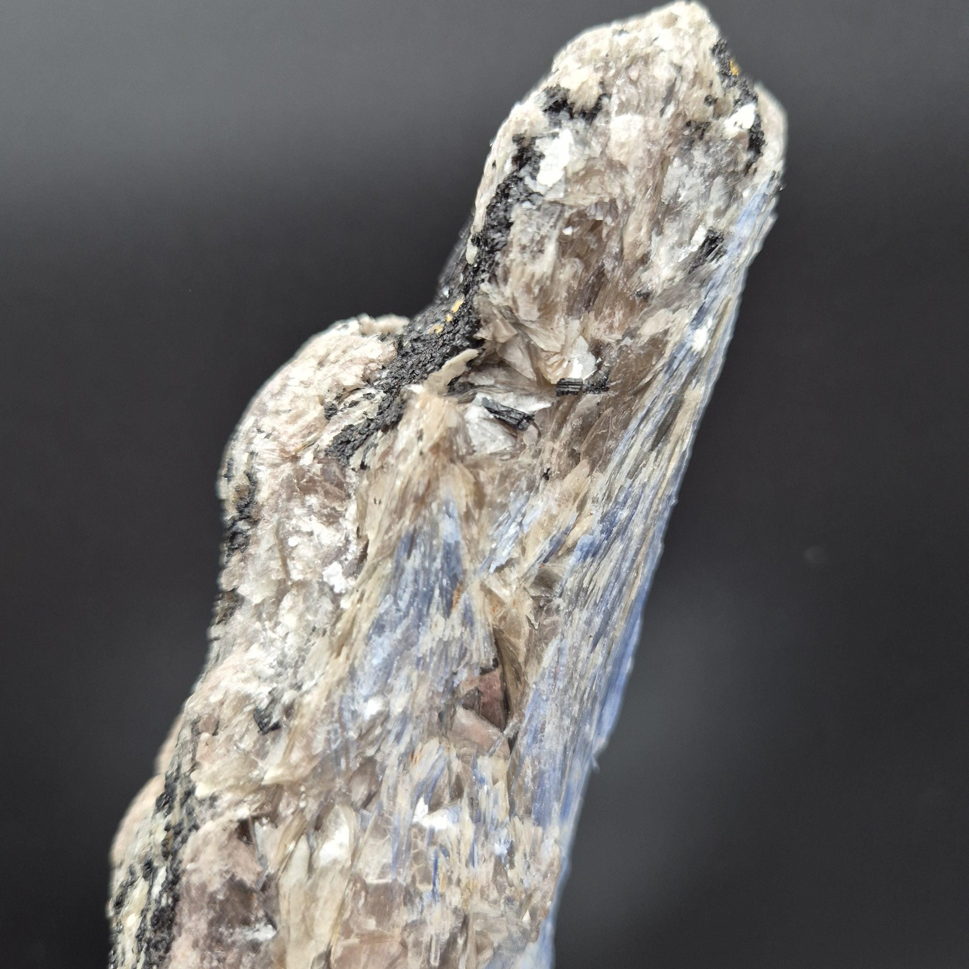 Super Rare Museum Quality Blue Kyanite with Black Hematite & Mica | Brazilian Mineral Specimen | 5 lbs Crystal Hoarder