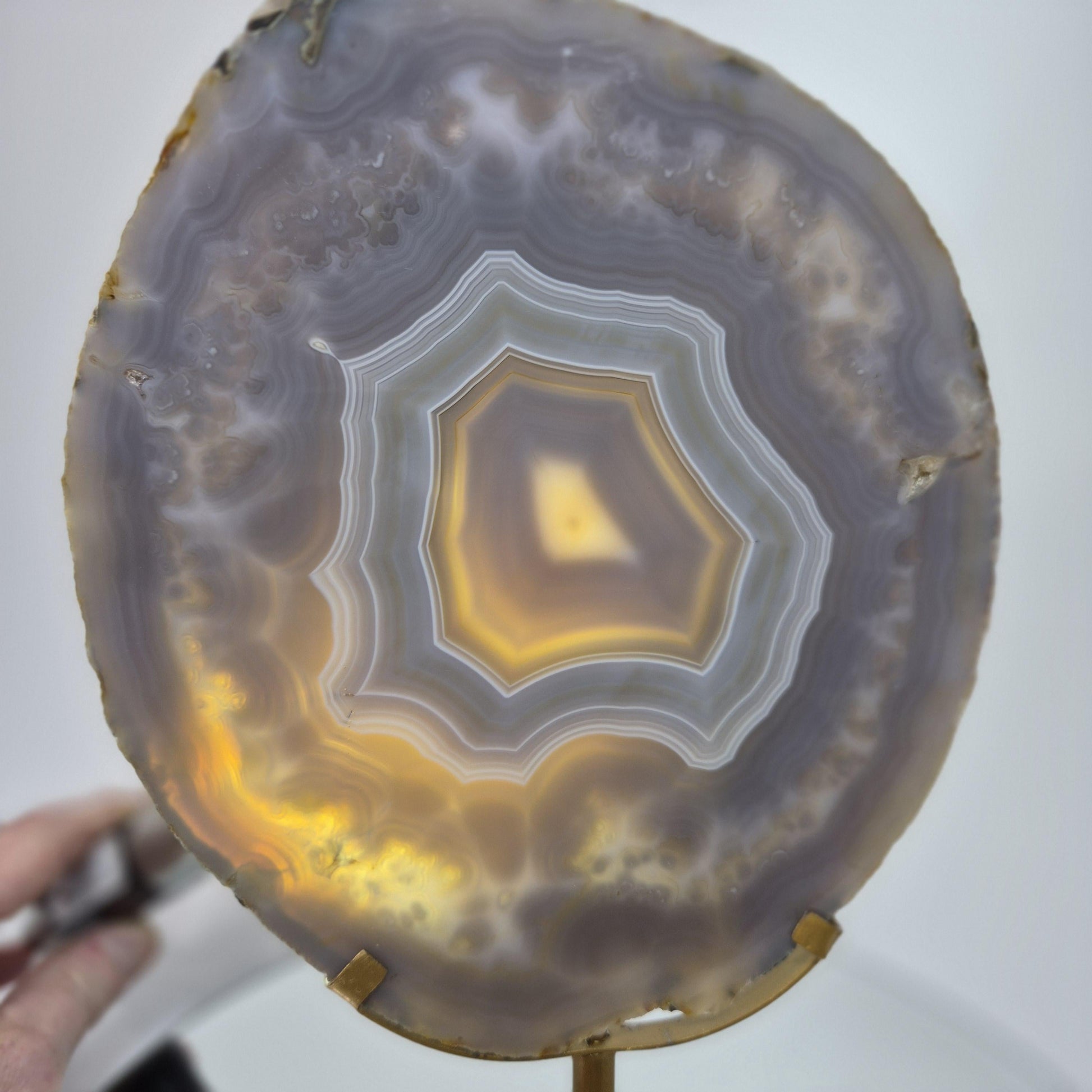 Blue Banded Agate Slice from Brazil - Can be Backlit! Crystal Hoarder