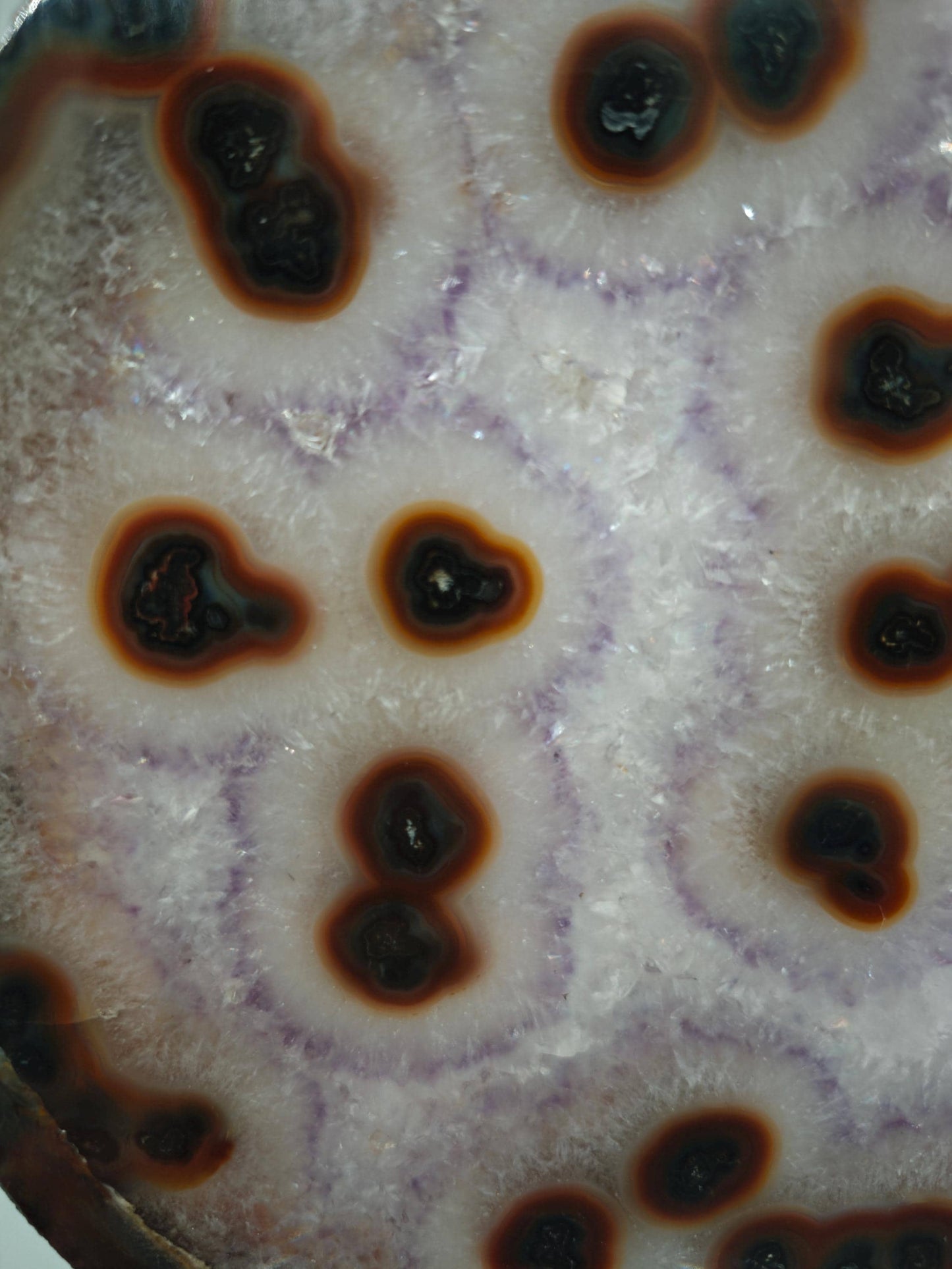 Rare Amethyst with Agate Slice & Stalactite Eyes - Backlit Brazilian Crystal Specimen - Unique Clear Formation - One of a Kind Crystal Hoarder