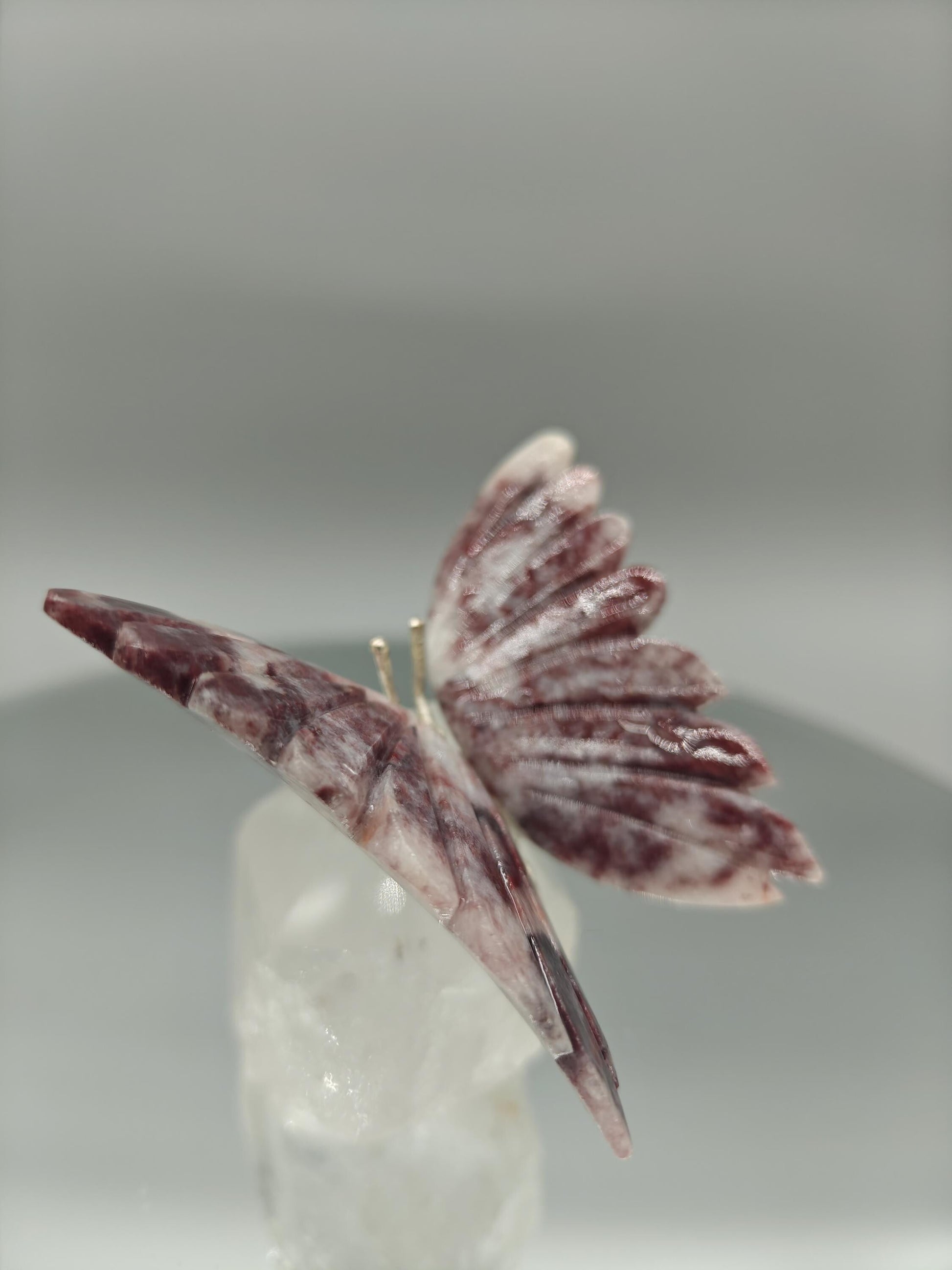 Red & Pink Jasper Butterfly on Clear Quartz Point - Brazil - 4 x 3.5in - 10.45 oz Crystal Hoarder