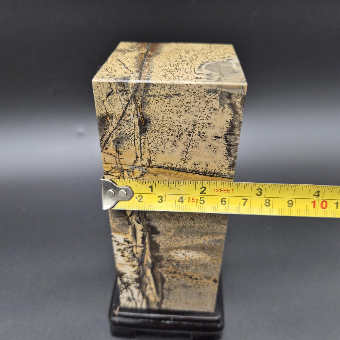 AAA+ Picture Jasper on Wood Base | Natural Scenic Stone Display | 3.37 lbs Crystal Hoarder