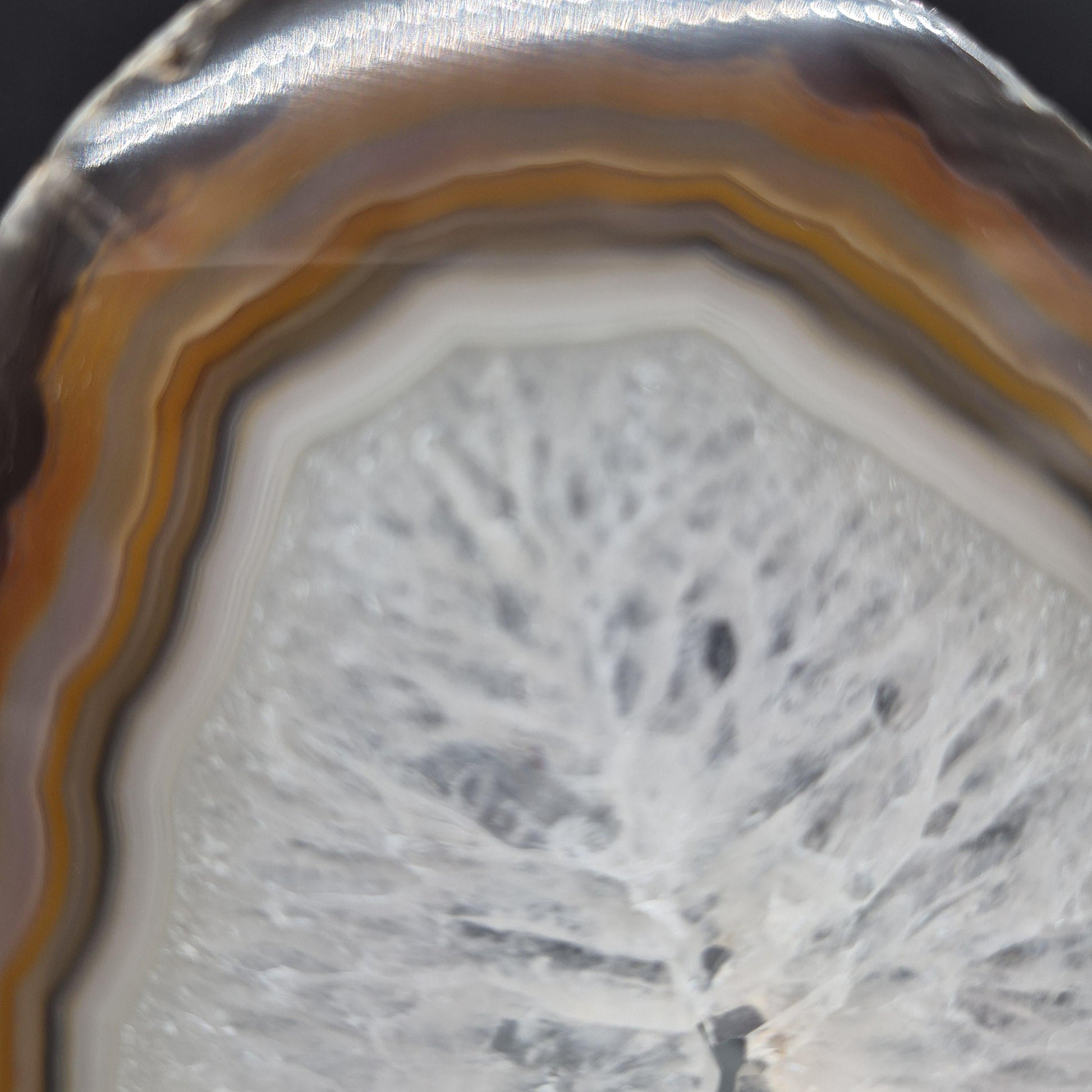 AAA+ Butterfly Agate Slice Wings with Water-Clear Quartz Points - Brazil - Natural Crystal Display - 9in x 8in - 1.09 lb Statement Specimen Crystal Hoarder