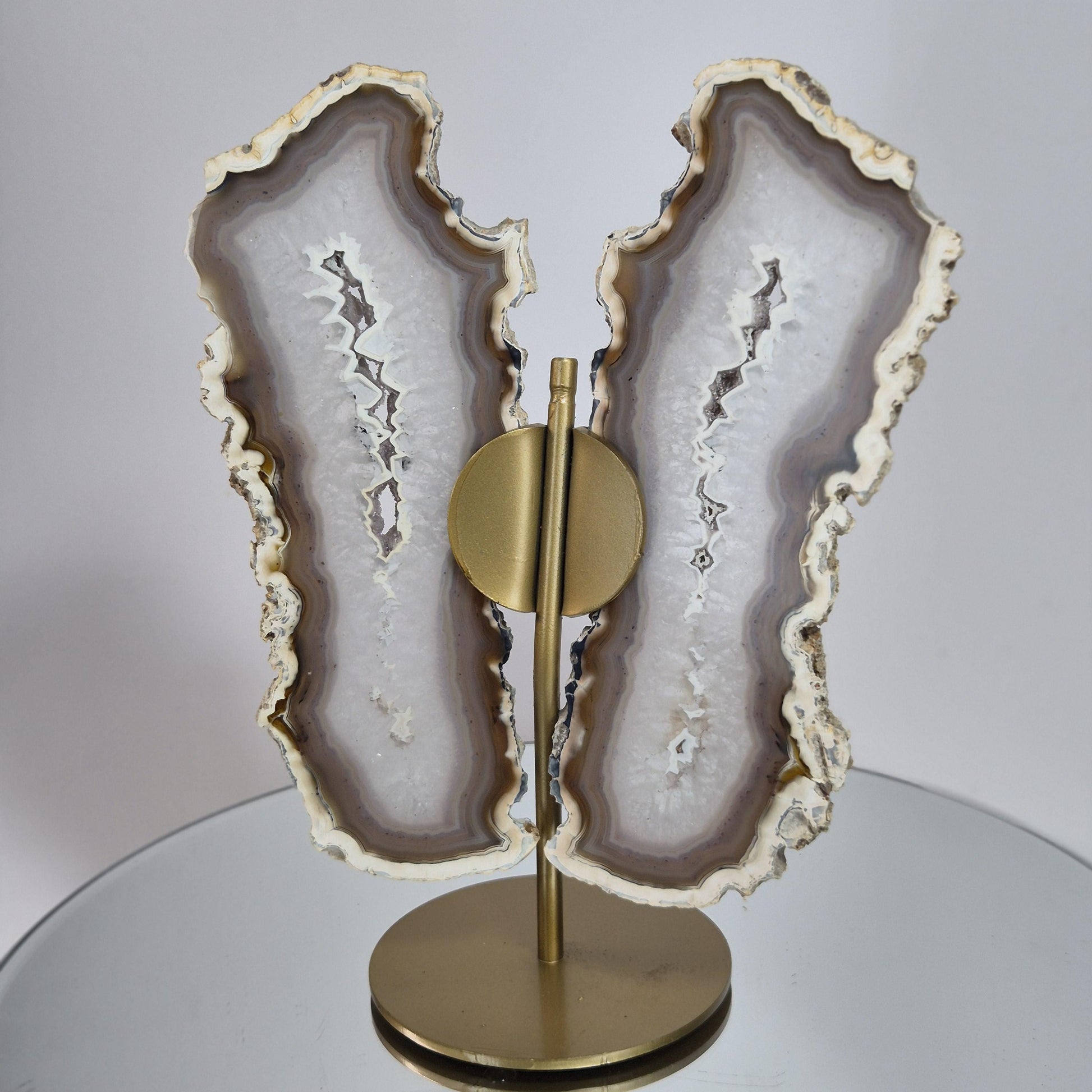 Banded Agate Druzy Butterfly Wings - Super Rare One-of-a-Kind - Brazil Crystal Hoarder
