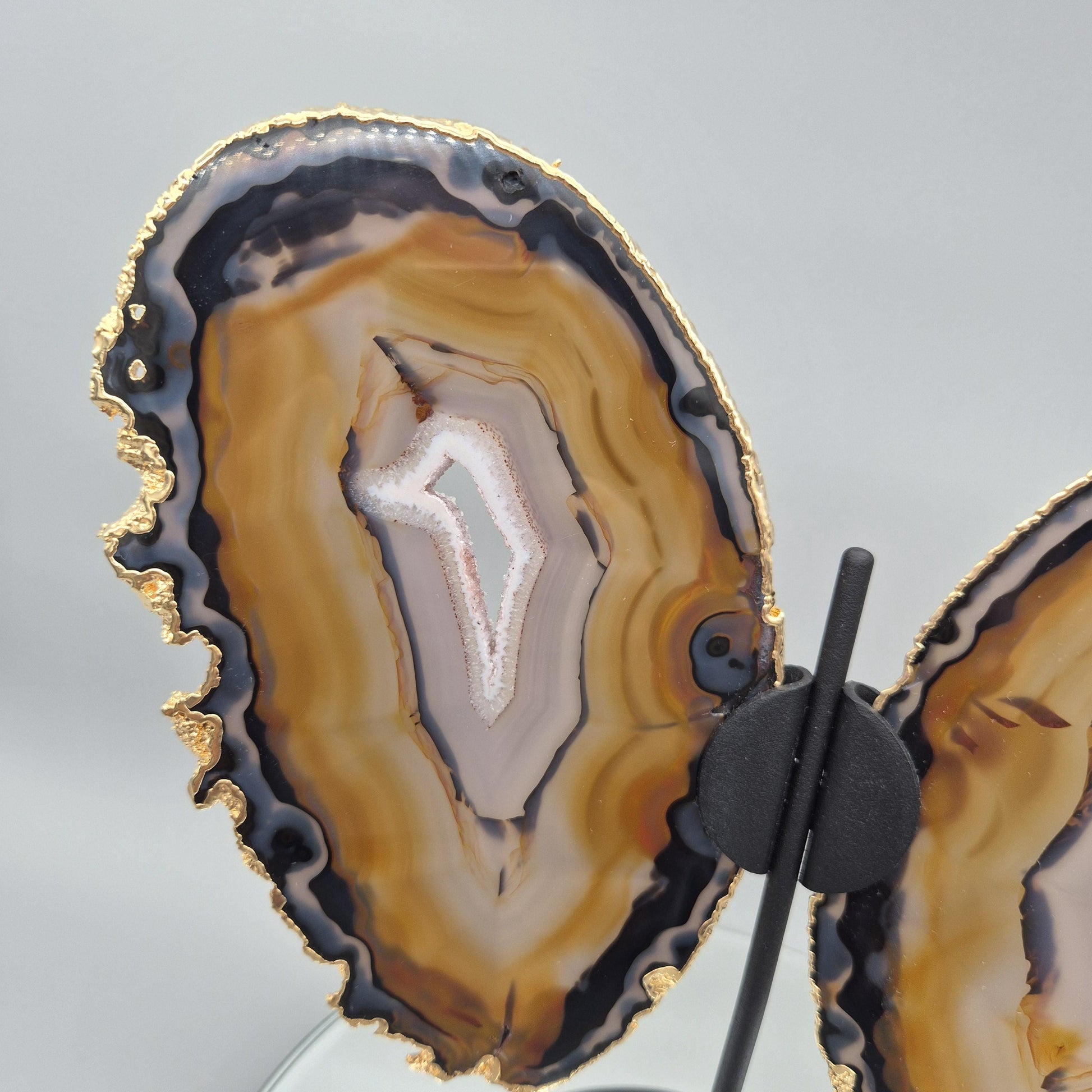 Super Rare Natural Agate Butterfly Wings with Gold Plating | Brazil Agate Sculpture | One of a Kind Crystal Display | Collector Specimen Crystal Hoarder