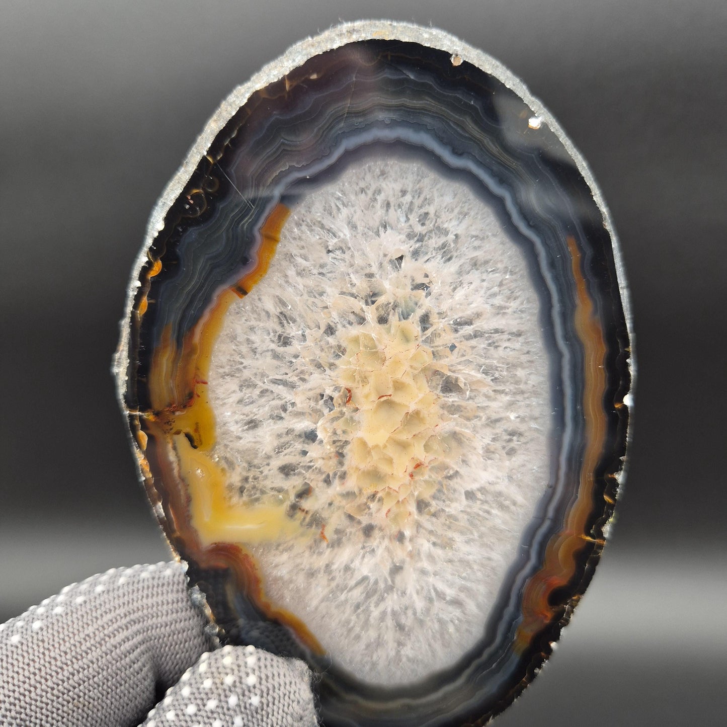 AAA+ Agate Slice Set of 9 | 4-6.5in Large Quartz Crystal Slices | 2.39 lbs Natural Banded Agate | Collector Grade Display Pieces Crystal Hoarder