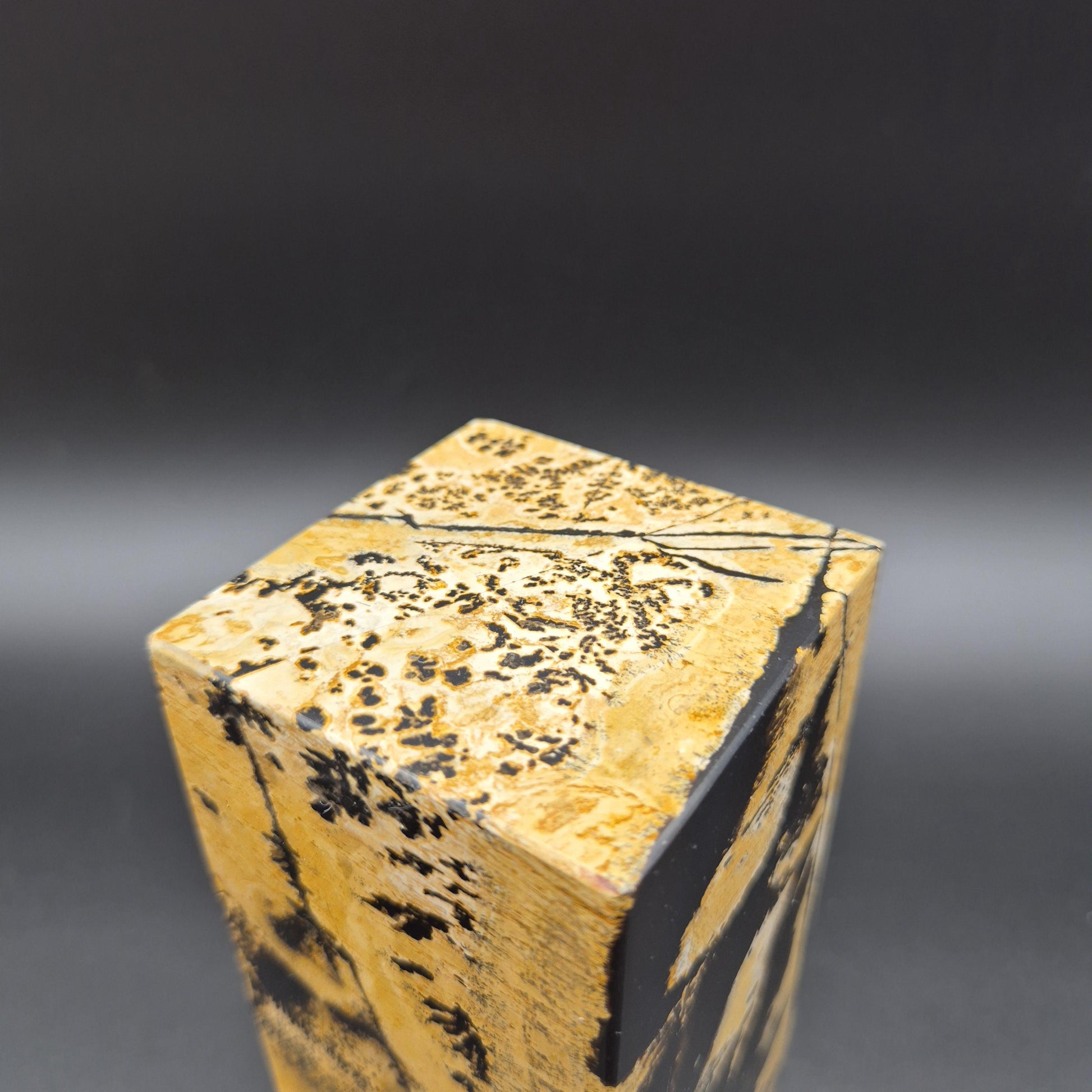 AAA+ Picture Jasper on Wood Base | Natural Scenic Stone Display | 3.16 lbs Crystal Hoarder