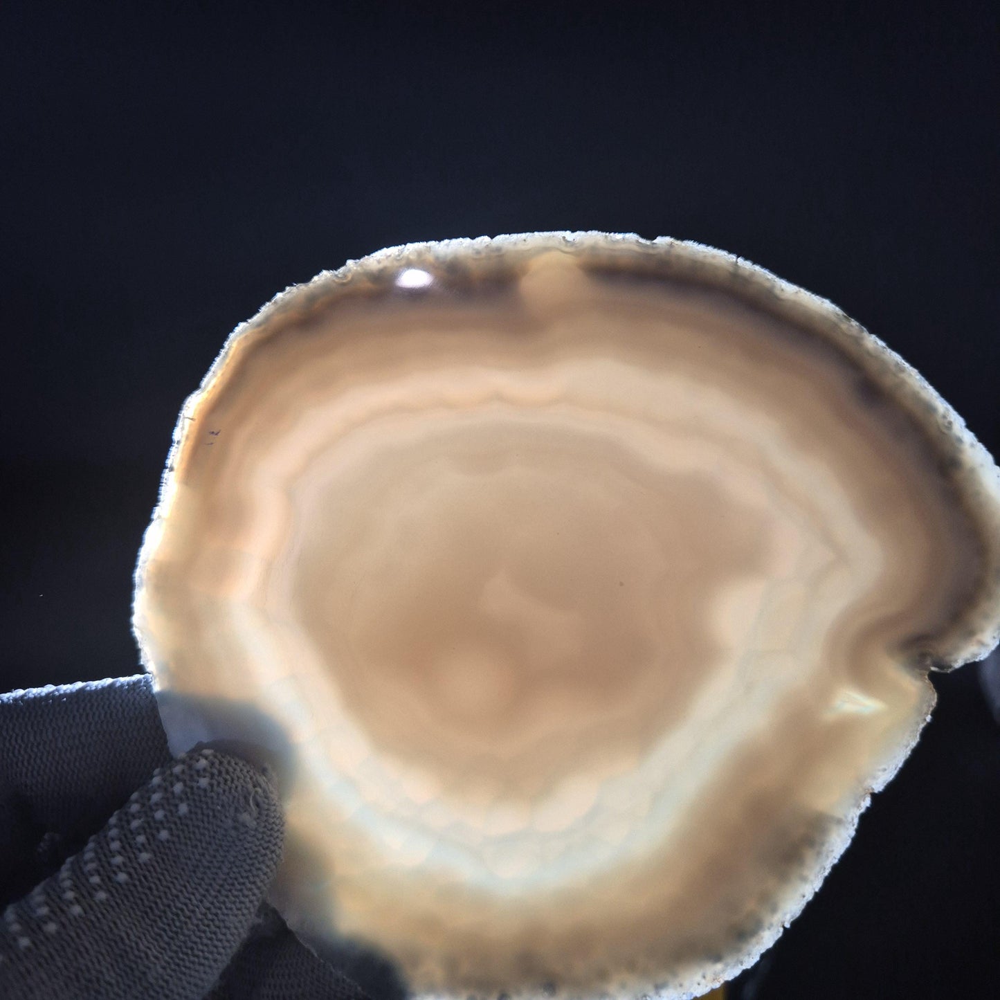 Natural Agate Slices - Set of 3 | 5.5in & 6in Large Translucent Quartz | Polished Crystal Decor | 1.33 lbs Crystal Hoarder