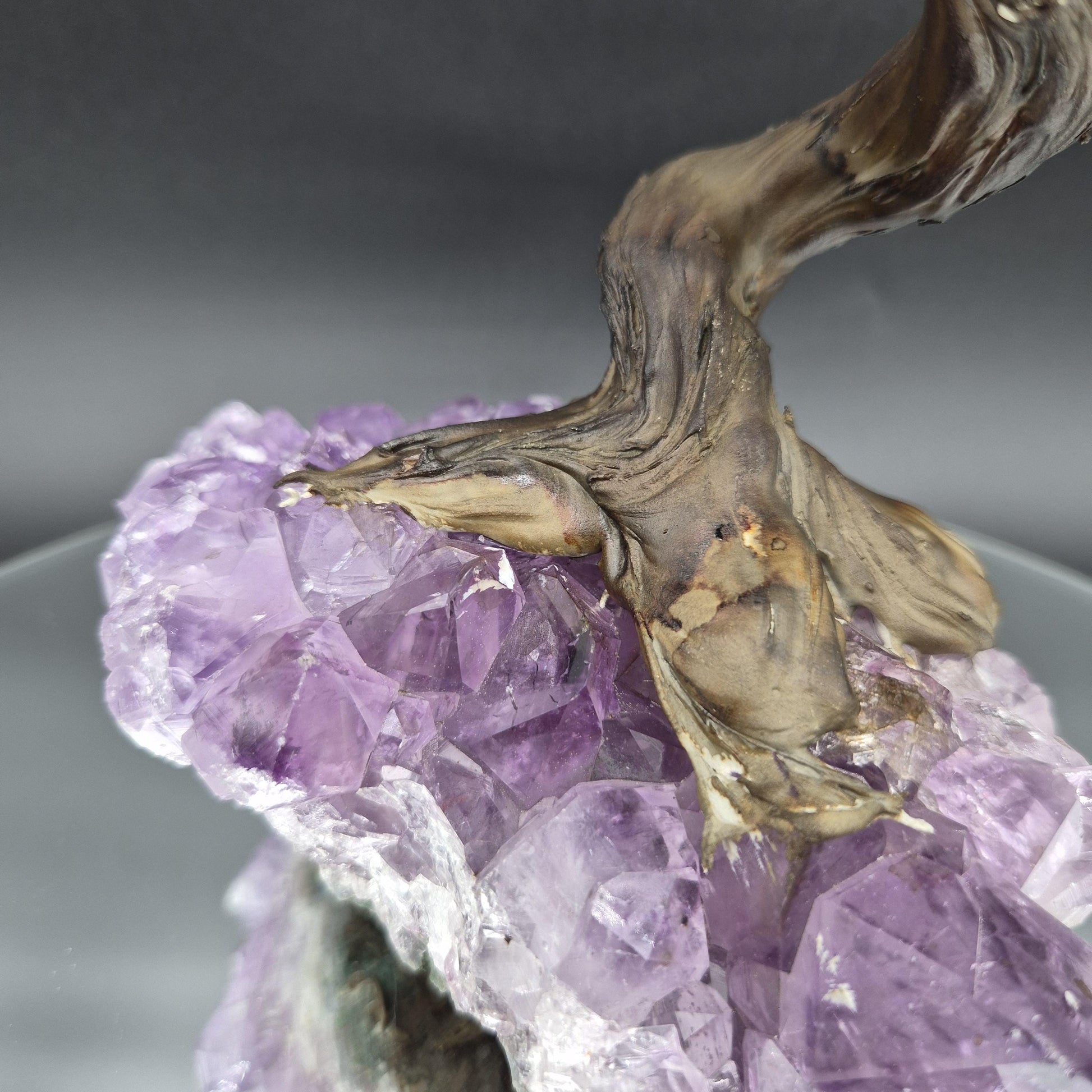 Hematite Crystal Tree on Premium Brazil Amethyst Base - Large Amethyst Cluster Sculpture - Mineral Specimen Décor - 4.89 lbs | 10.5in Tall Crystal Hoarder