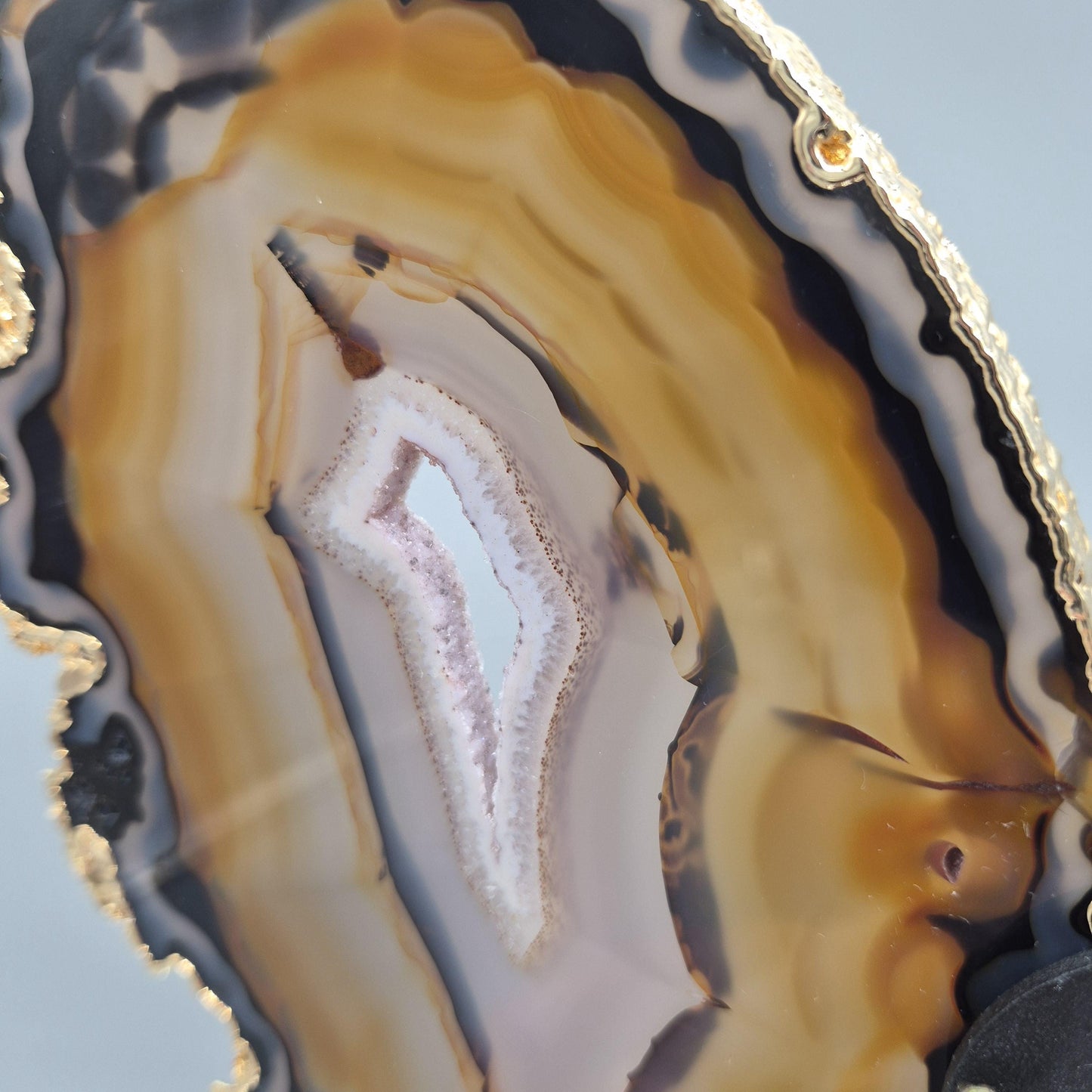 Super Rare Natural Agate Butterfly Wings with Gold Plating | Brazil Agate Sculpture | One of a Kind Crystal Display | Collector Specimen Crystal Hoarder