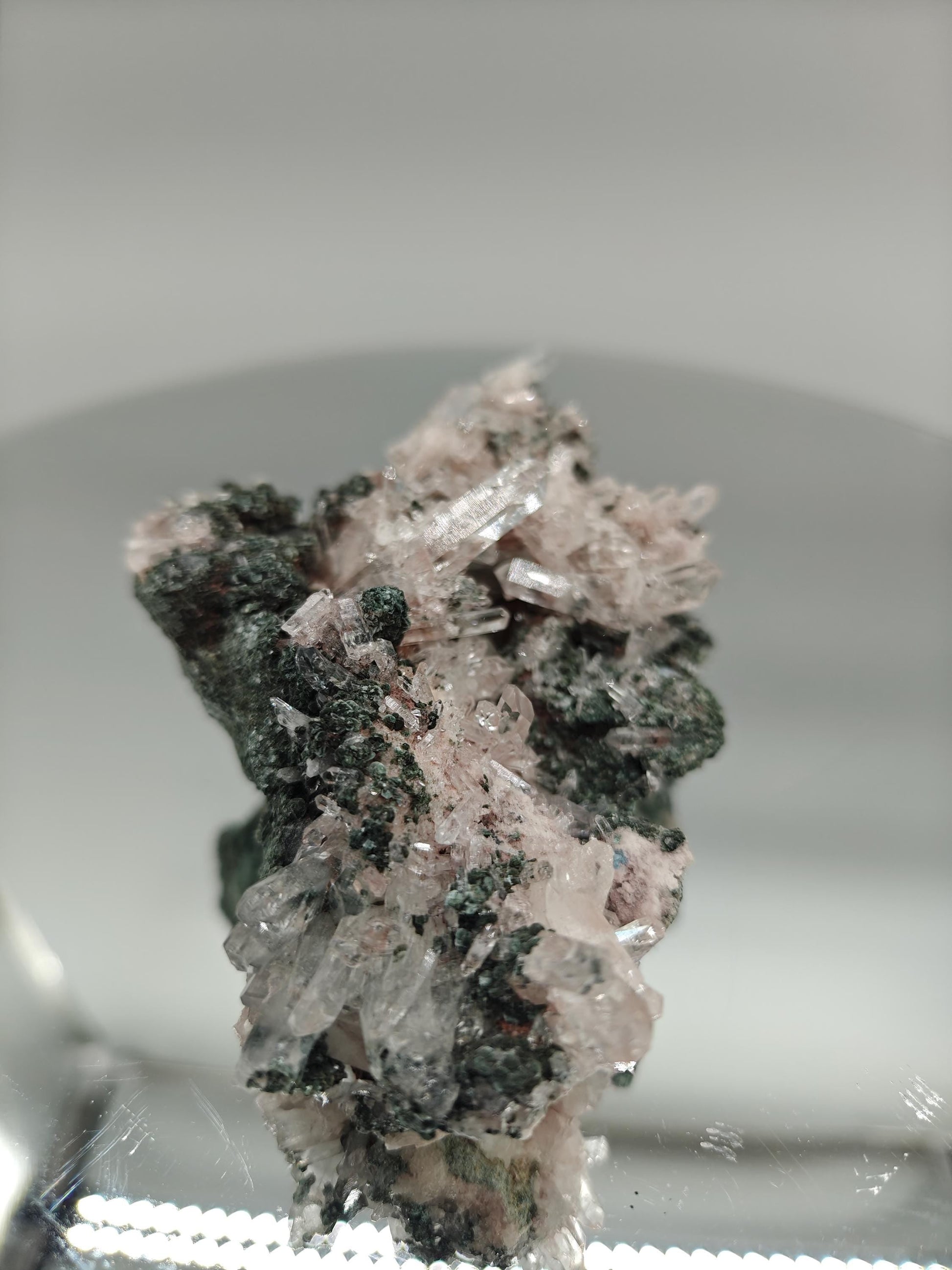 AAA+ Light Pink Lemurian Quartz Cluster on Chlorite | Water Clear Points | Rare Collector Specimen Crystal Hoarder