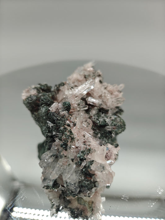 AAA+ Light Pink Lemurian Quartz Cluster on Chlorite | Water Clear Points | Rare Collector Specimen Crystal Hoarder