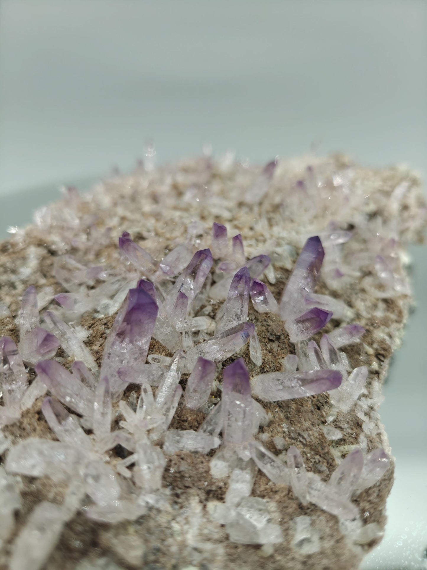 Museum Quality Veracruz Amethyst Cluster | Hundreds of Perfect Points | Veracruz Mexico | Collector Specimen Crystal Hoarder