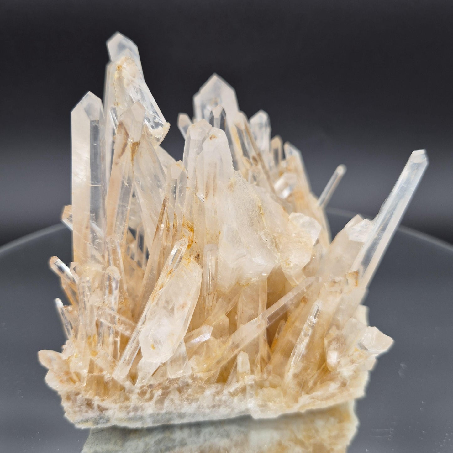 AAA+ Blue Smoke Golden Healer Starburst Lemurian Needle Cluster - Colombia 1.7 lbs, 5 x 4in Crystal Hoarder