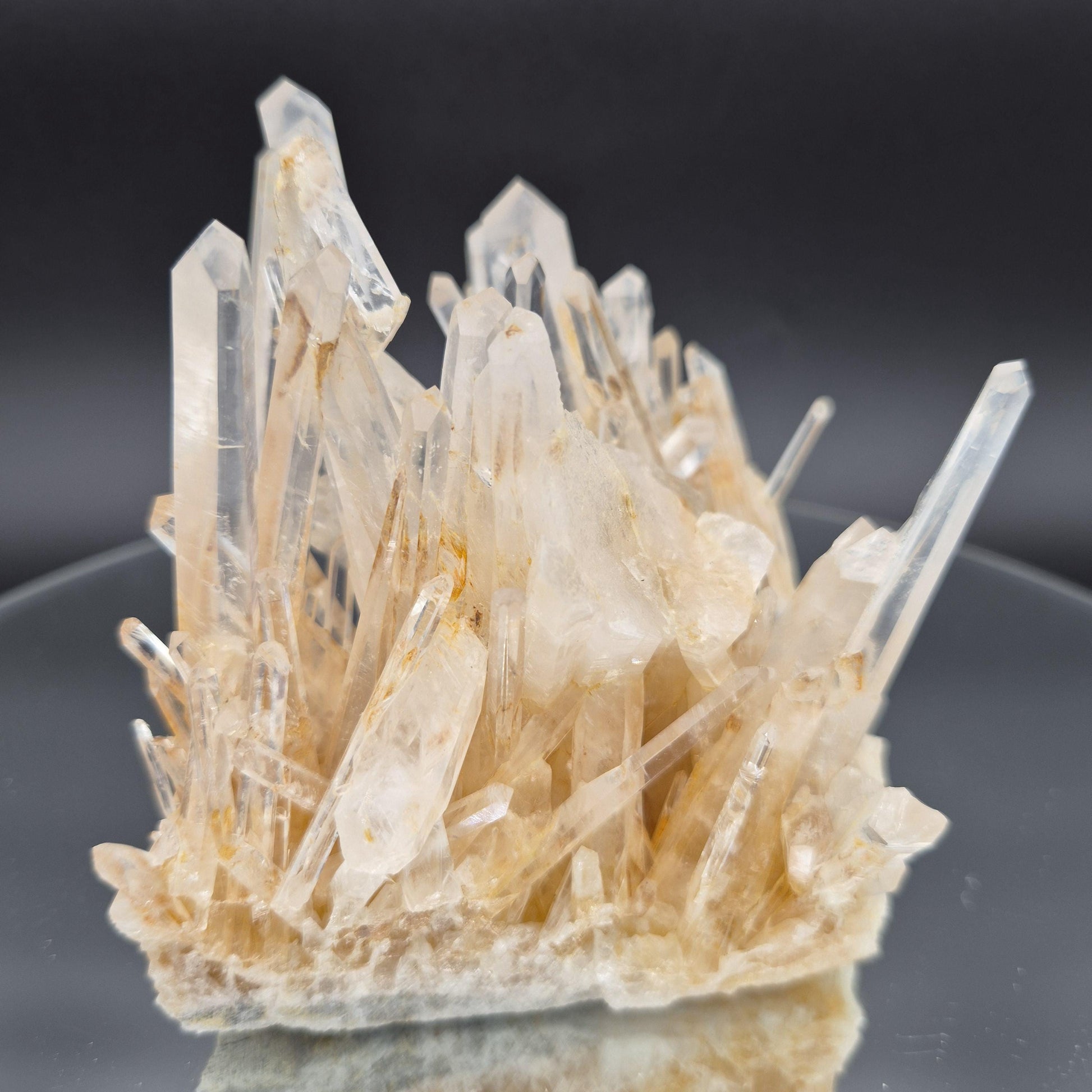 AAA+ Blue Smoke Golden Healer Starburst Lemurian Needle Cluster - Colombia 1.7 lbs, 5 x 4in Crystal Hoarder