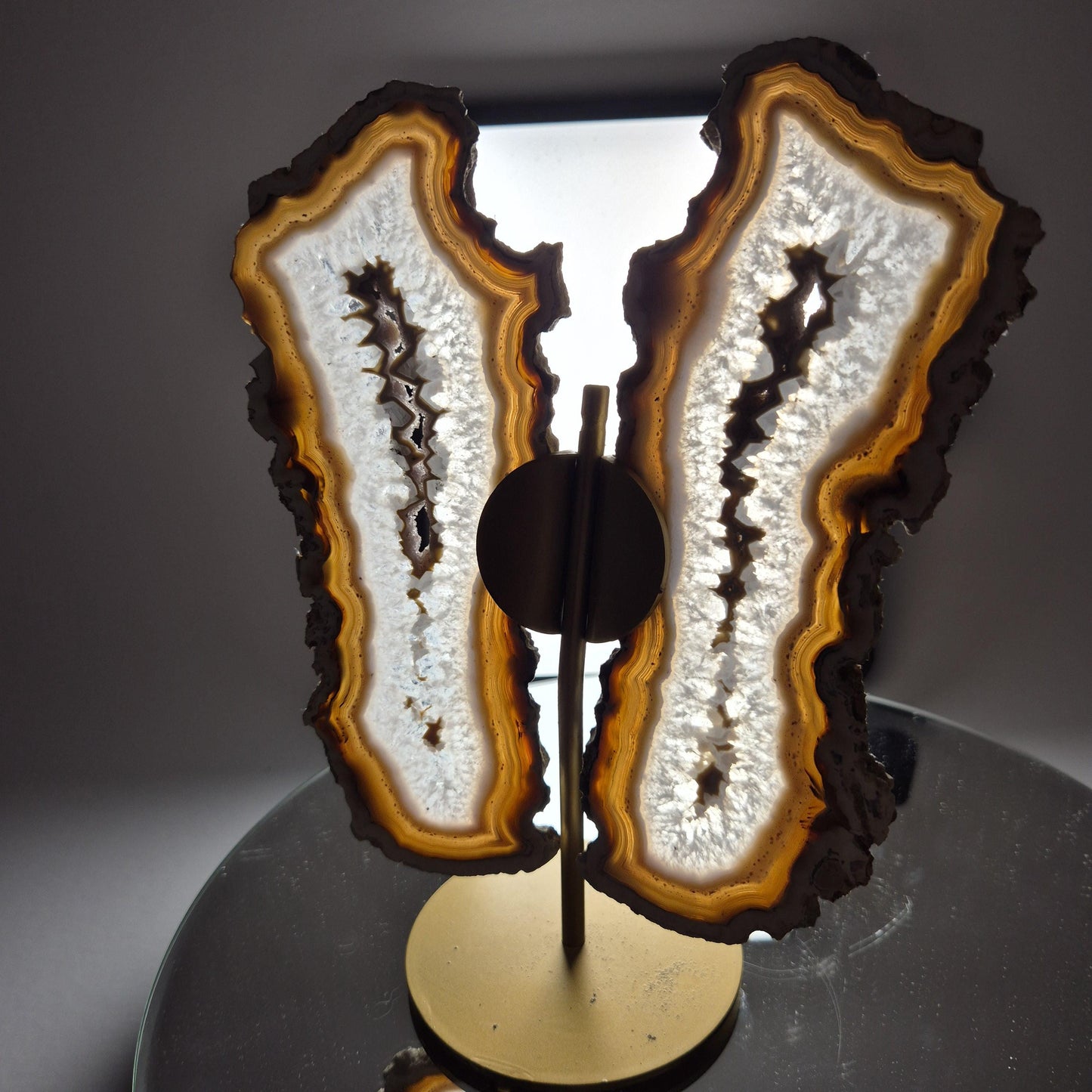 Banded Agate Druzy Butterfly Wings - Super Rare One-of-a-Kind - Brazil Crystal Hoarder