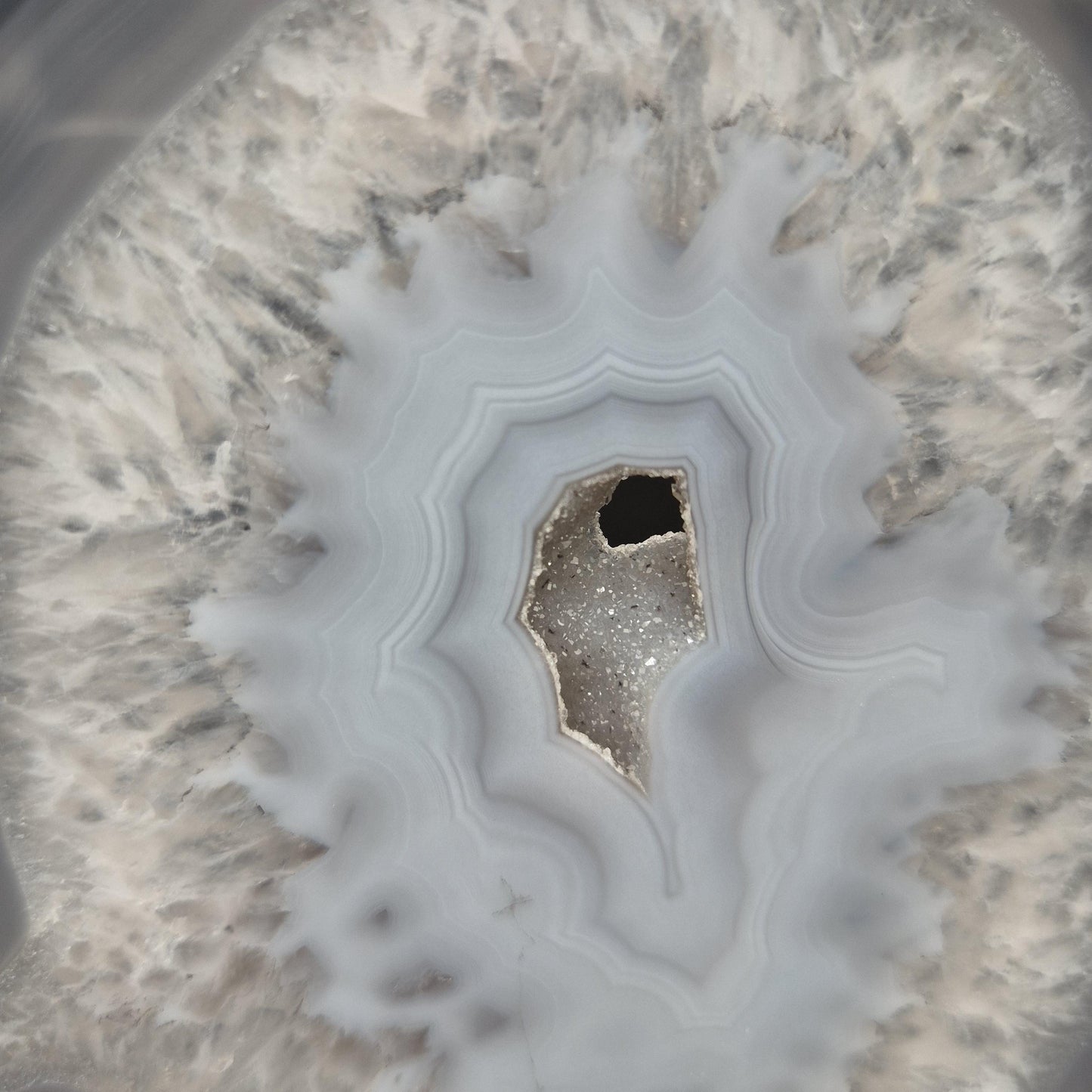 AAA+ Super Rare Druzy White and Dark Blue Agate Slice on Stand Brazil 1.03 lbs Crystal Hoarder