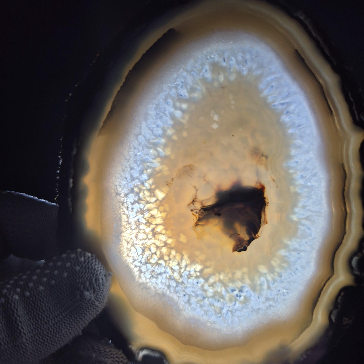 Natural Agate Slices - Set of 3 | 4in, 4.5in, 5in Translucent Quartz | 0.64 lbs | Polished Crystal Decor Crystal Hoarder