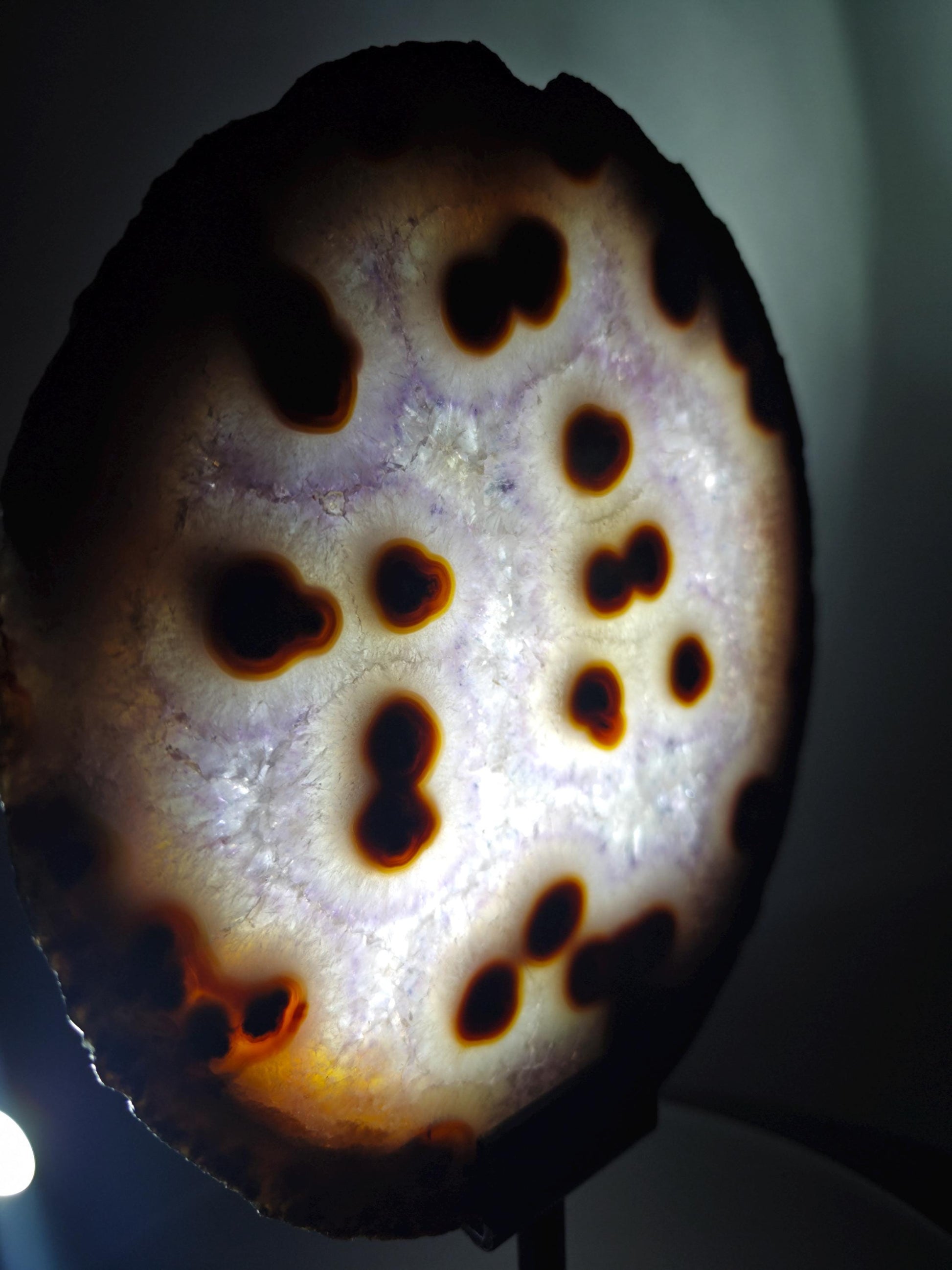 Rare Amethyst with Agate Slice & Stalactite Eyes - Backlit Brazilian Crystal Specimen - Unique Clear Formation - One of a Kind Crystal Hoarder