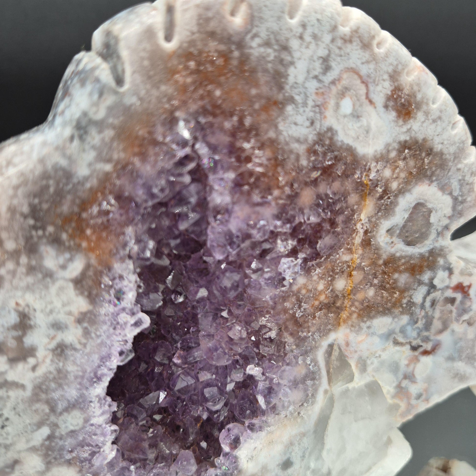 AAA+ Pink and Purple Amethyst Fish Polished Brazil - 8.5x5.5x1 - 2.89 lbs Crystal Hoarder