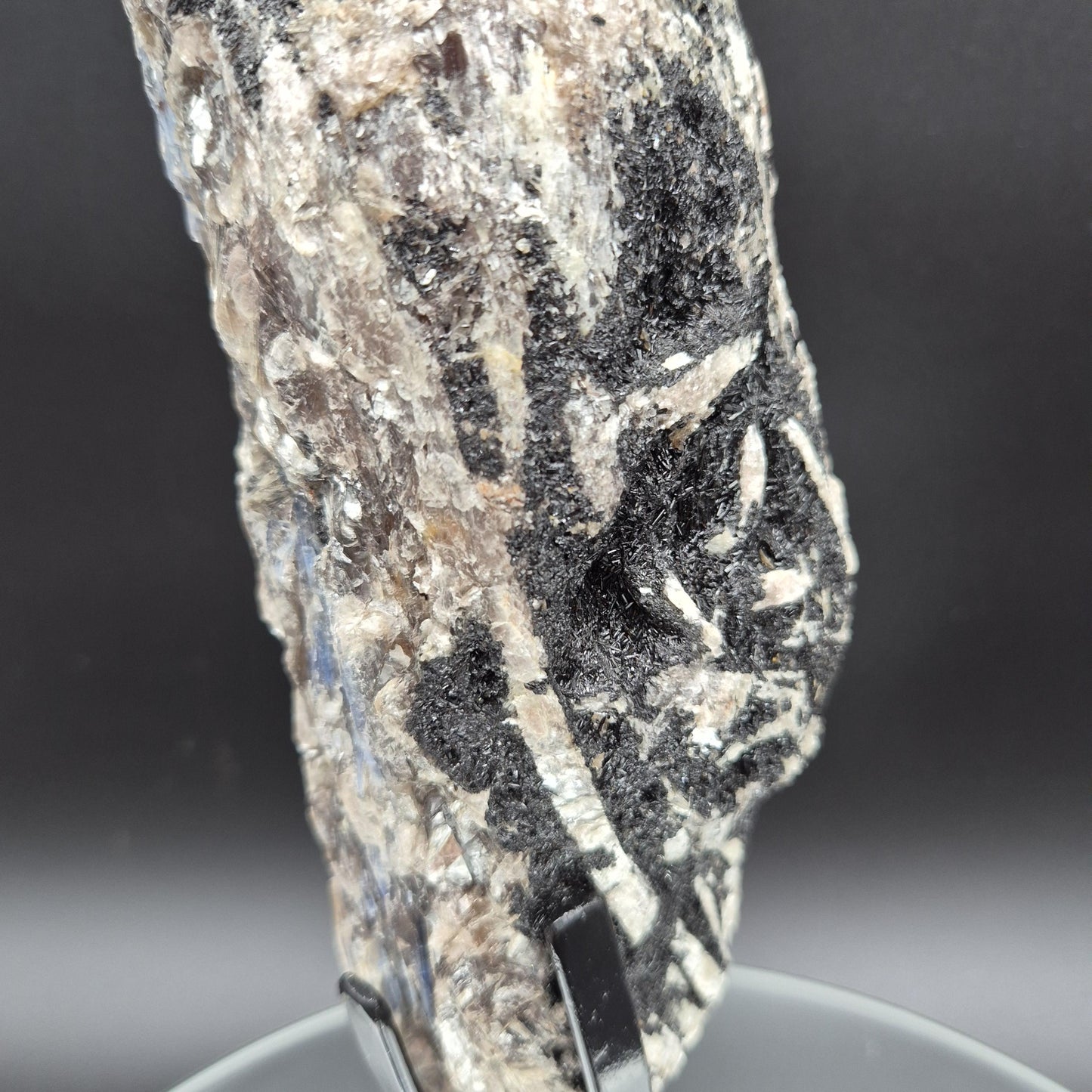 Super Rare Museum Quality Blue Kyanite with Black Hematite & Mica | Brazilian Mineral Specimen | 5 lbs Crystal Hoarder