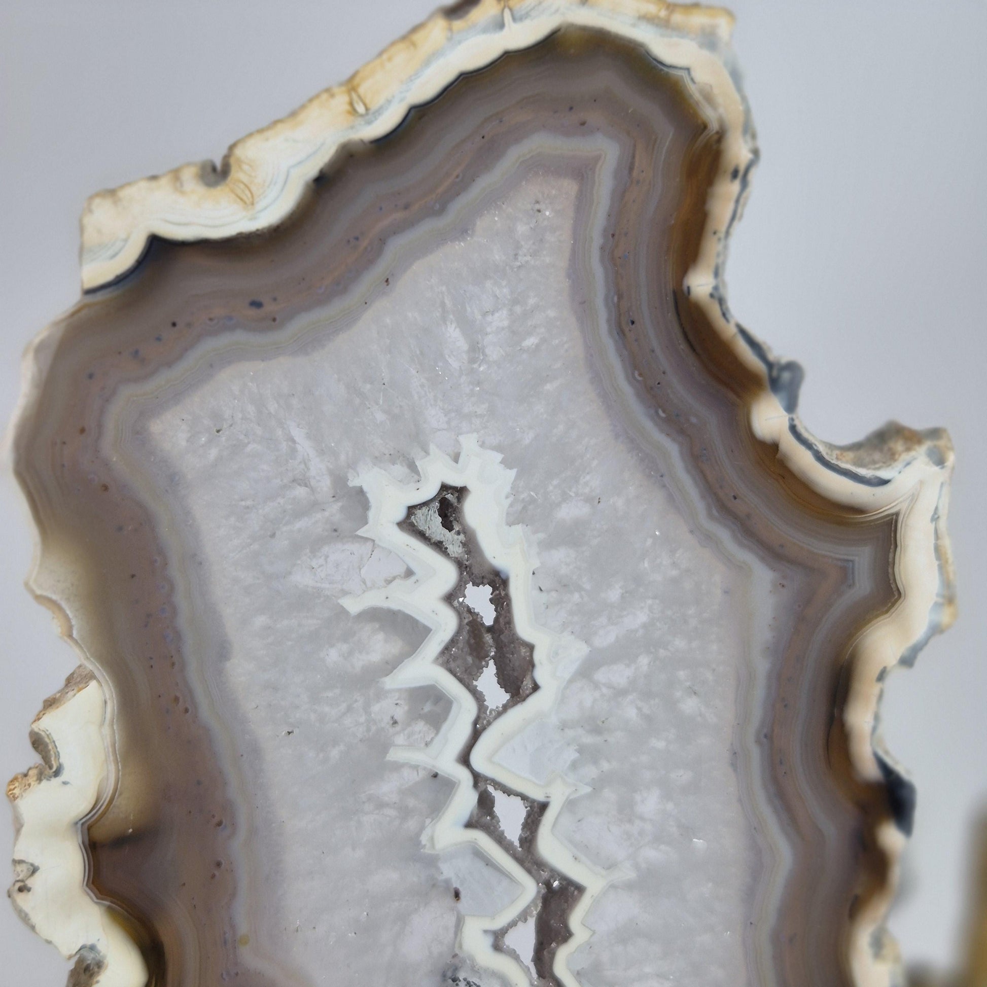 Banded Agate Druzy Butterfly Wings - Super Rare One-of-a-Kind - Brazil Crystal Hoarder