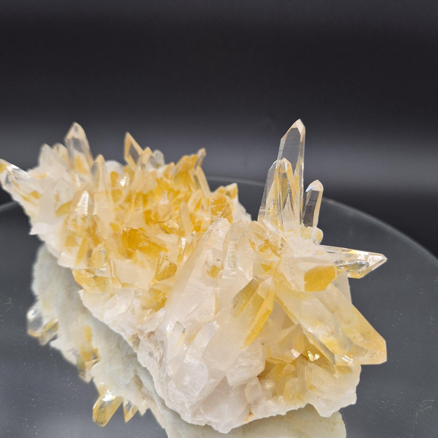 AAA+ Museum Grade Lemurian Golden Healer Quartz Cluster - Colombia | Water Clear Points | 8.5 x 4.5in | 2.55 lbs Crystal Hoarder