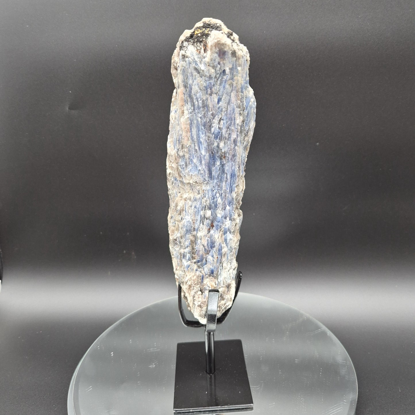 Super Rare Museum Quality Blue Kyanite with Black Hematite & Mica | Brazilian Mineral Specimen | 5 lbs Crystal Hoarder