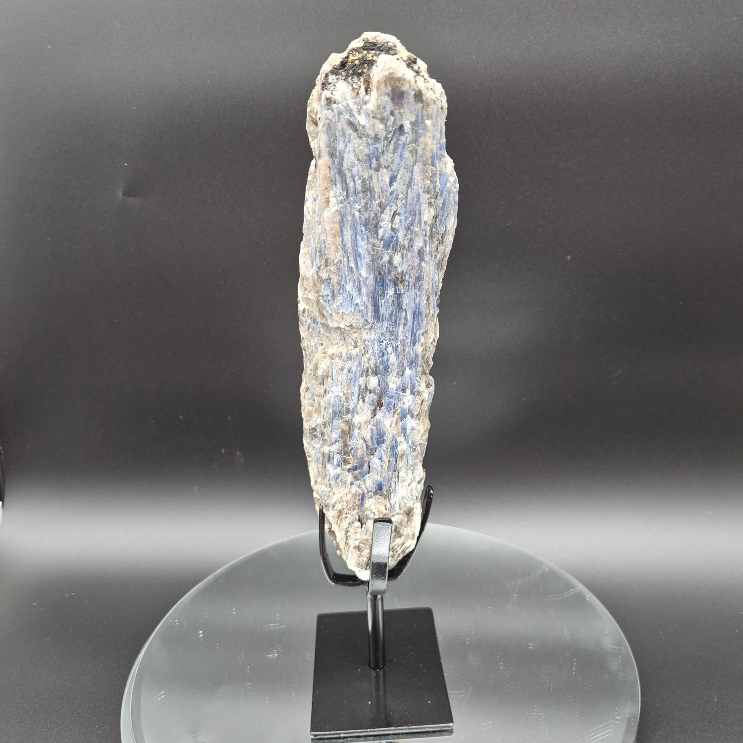 Super Rare Museum Quality Blue Kyanite with Black Hematite & Mica | Brazilian Mineral Specimen | 5 lbs Crystal Hoarder