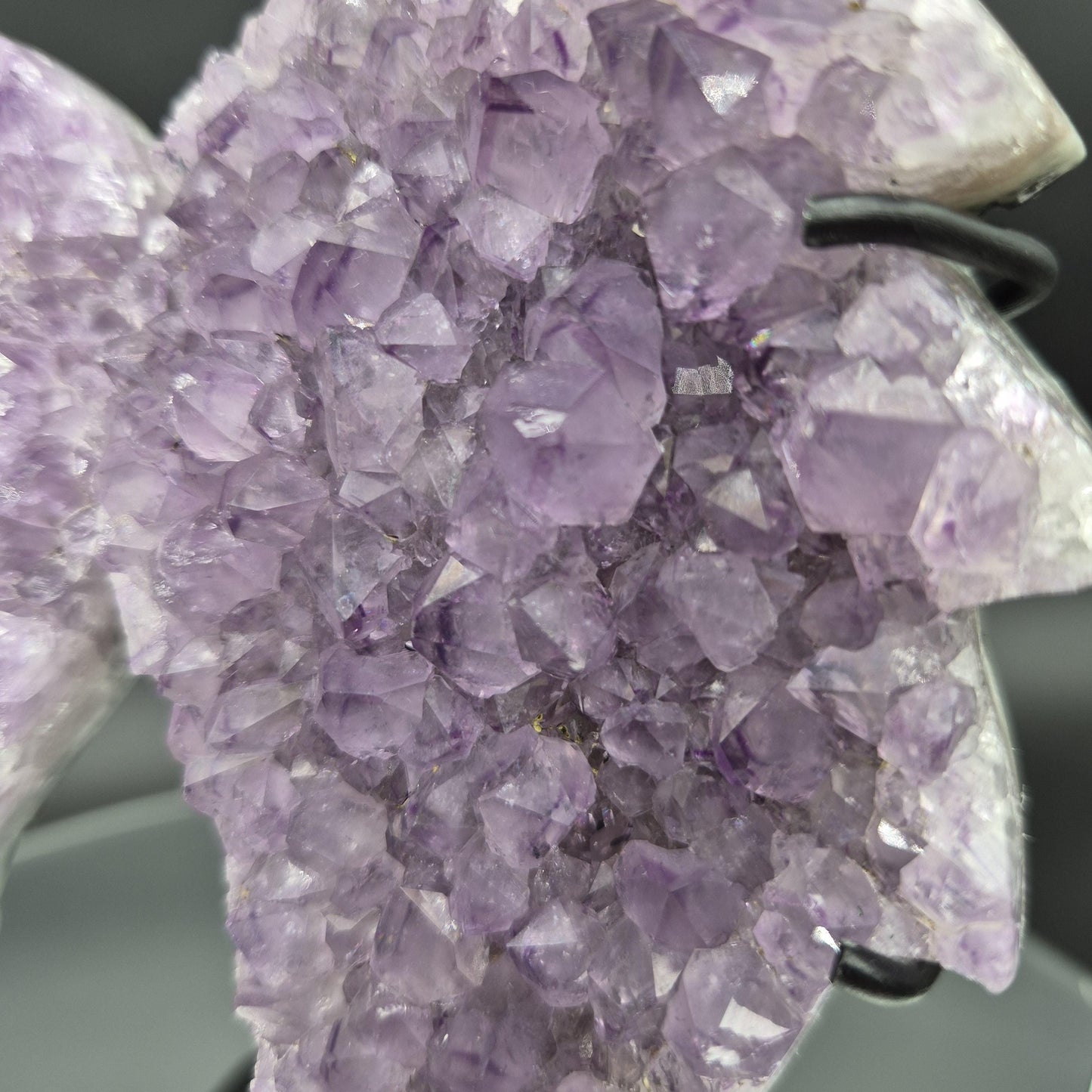 AAA+ Amethyst Angel Wings Brazil 7x6x2 1.92 lbs Crystal Hoarder