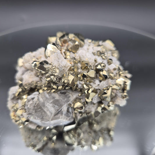 Pyrite with Translucent Dolomite Colombia .87 lbs (13.92 oz) Crystal Hoarder