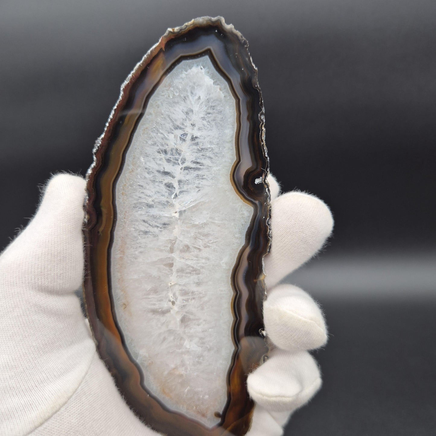 Set of 3 Agate Slices with Quartz | 4.5-6in Natural Crystal Slices | 0.55 lbs Total | Polished Banded Agate Decor Crystal Hoarder