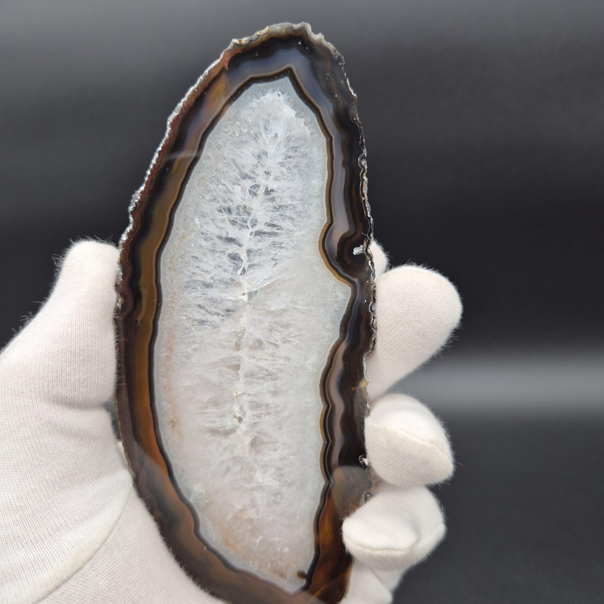 Set of 3 Agate Slices with Quartz | 4.5-6in Natural Crystal Slices | 0.55 lbs Total | Polished Banded Agate Decor Crystal Hoarder