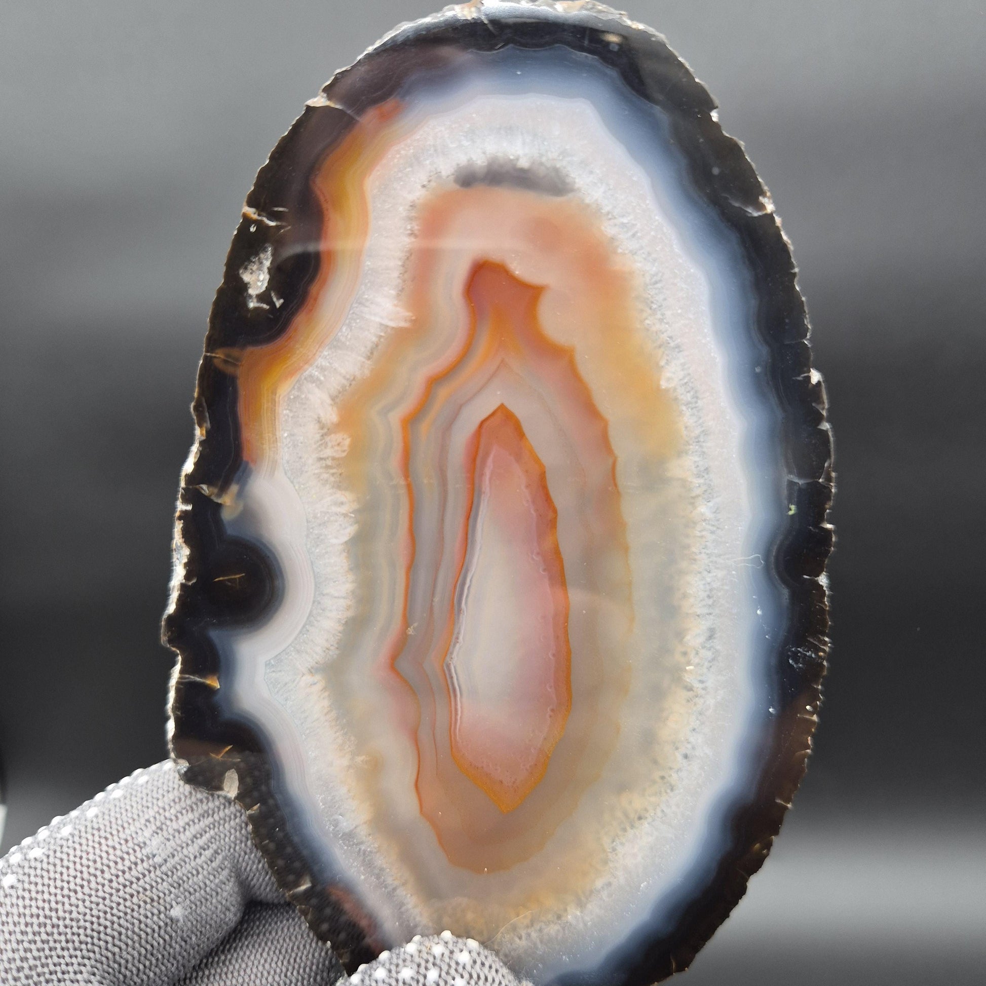 AAA Translucent Agate Slices with Carnelian - Set of 3 | 4.5in–5.5in Natural Druzy Quartz | 0.61 lbs Crystal Hoarder