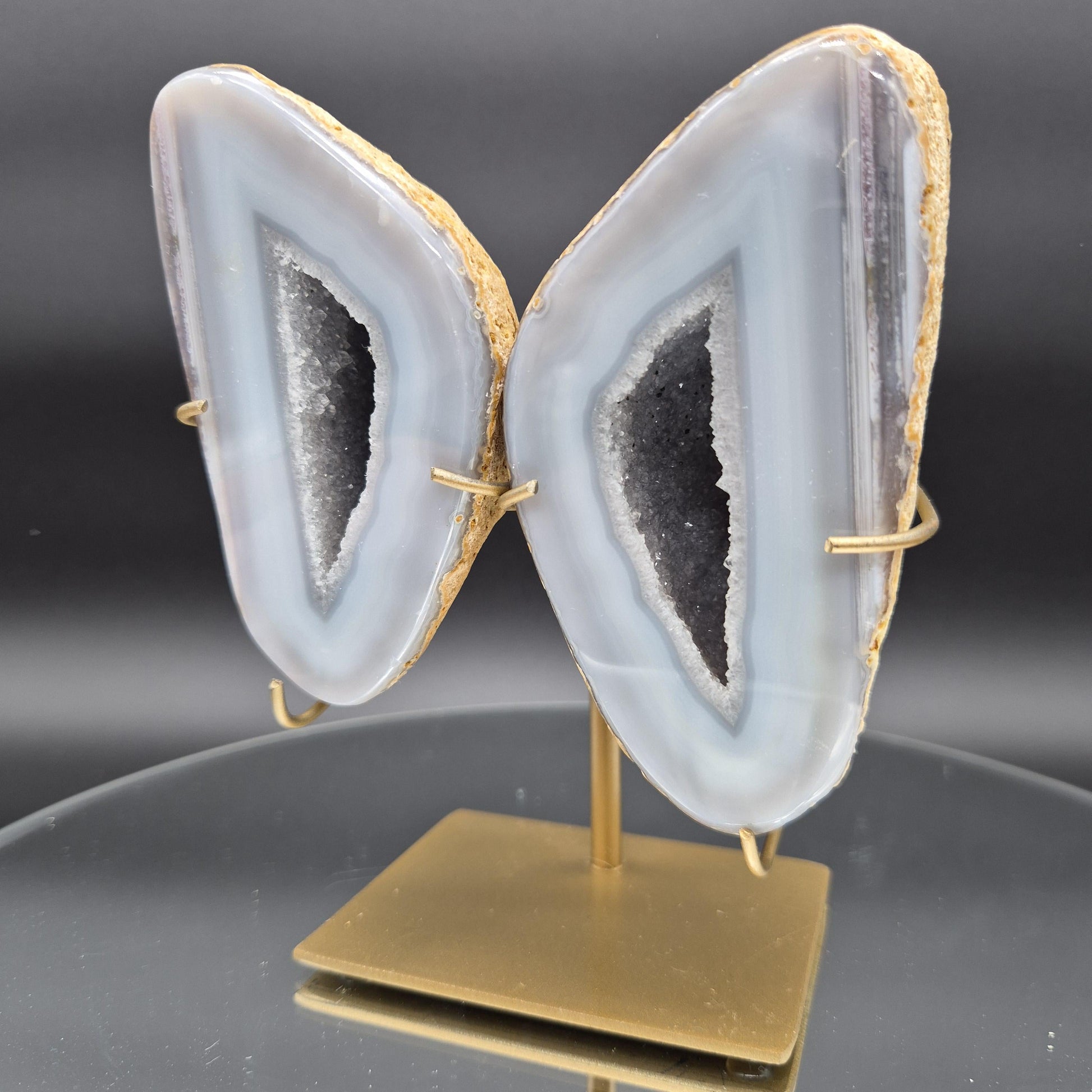 Blue Banded Agate Druzy Geode Wings | 6 x 4.5in | 2.25 lb Pair | Crystal Wall Décor | Statement Mineral Display | Brazil Geode Collectible Crystal Hoarder