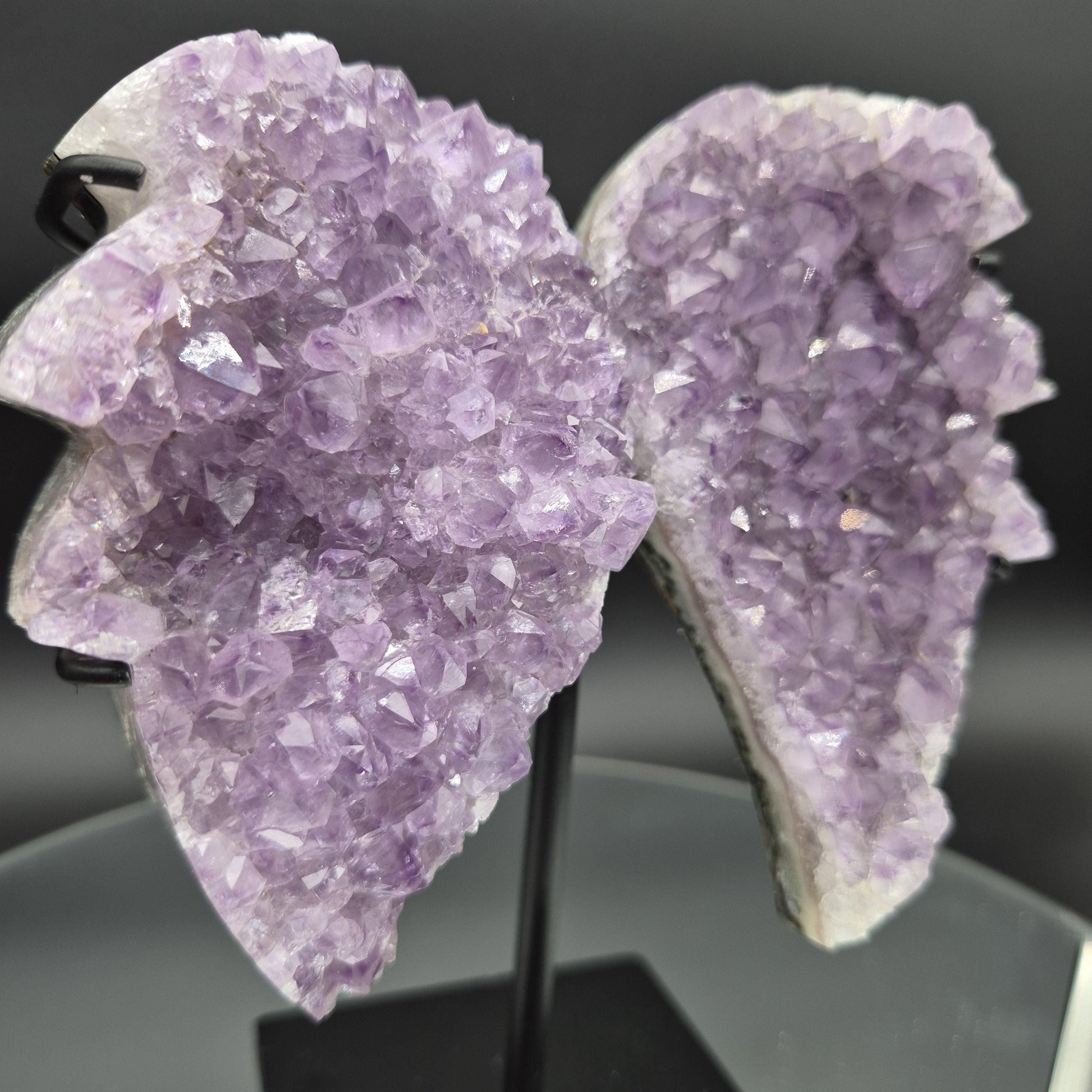 AAA+ Amethyst Angel Wings Brazil 7x6x2 1.92 lbs Crystal Hoarder