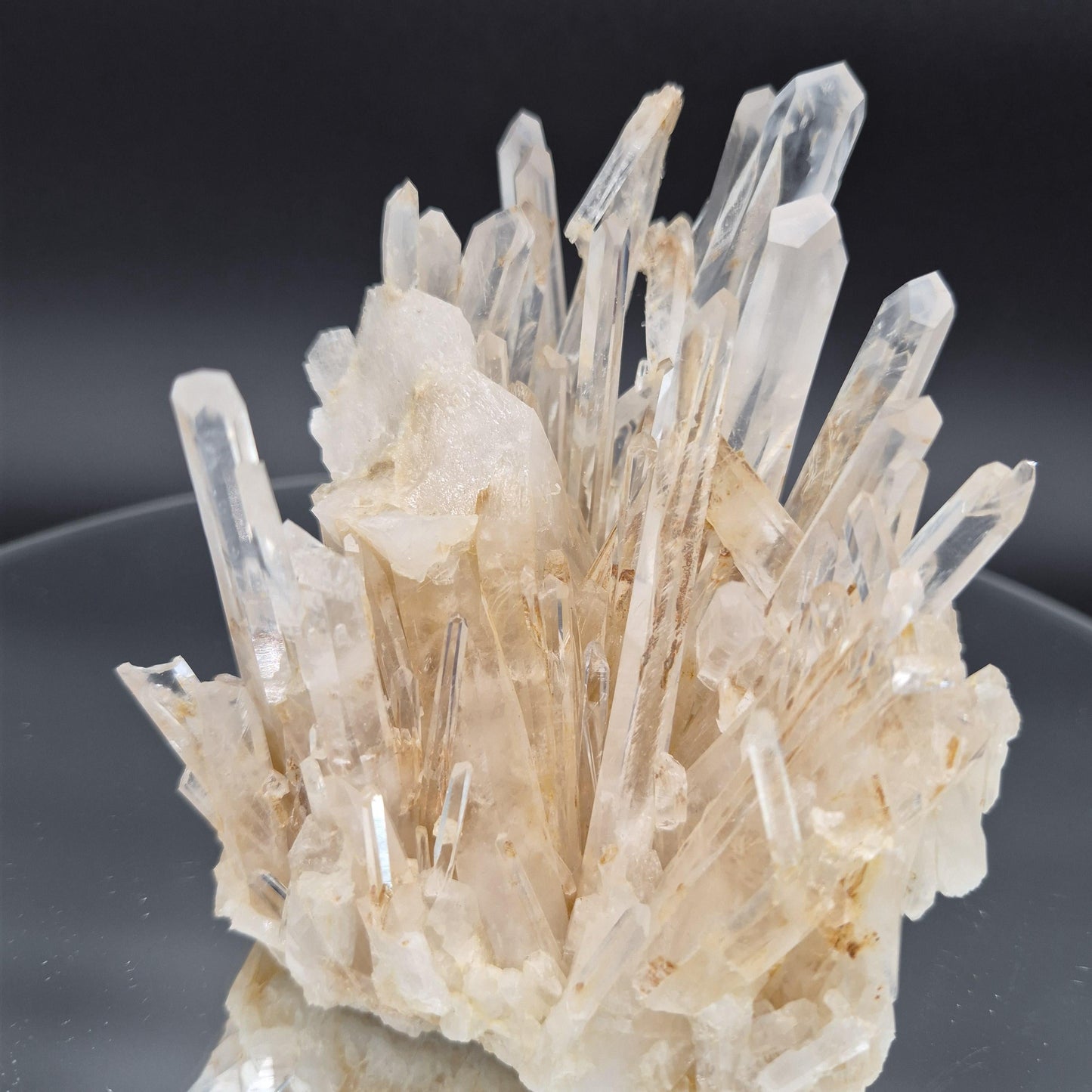 AAA+ Blue Smoke Golden Healer Starburst Lemurian Needle Cluster - Colombia 1.7 lbs, 5 x 4in Crystal Hoarder