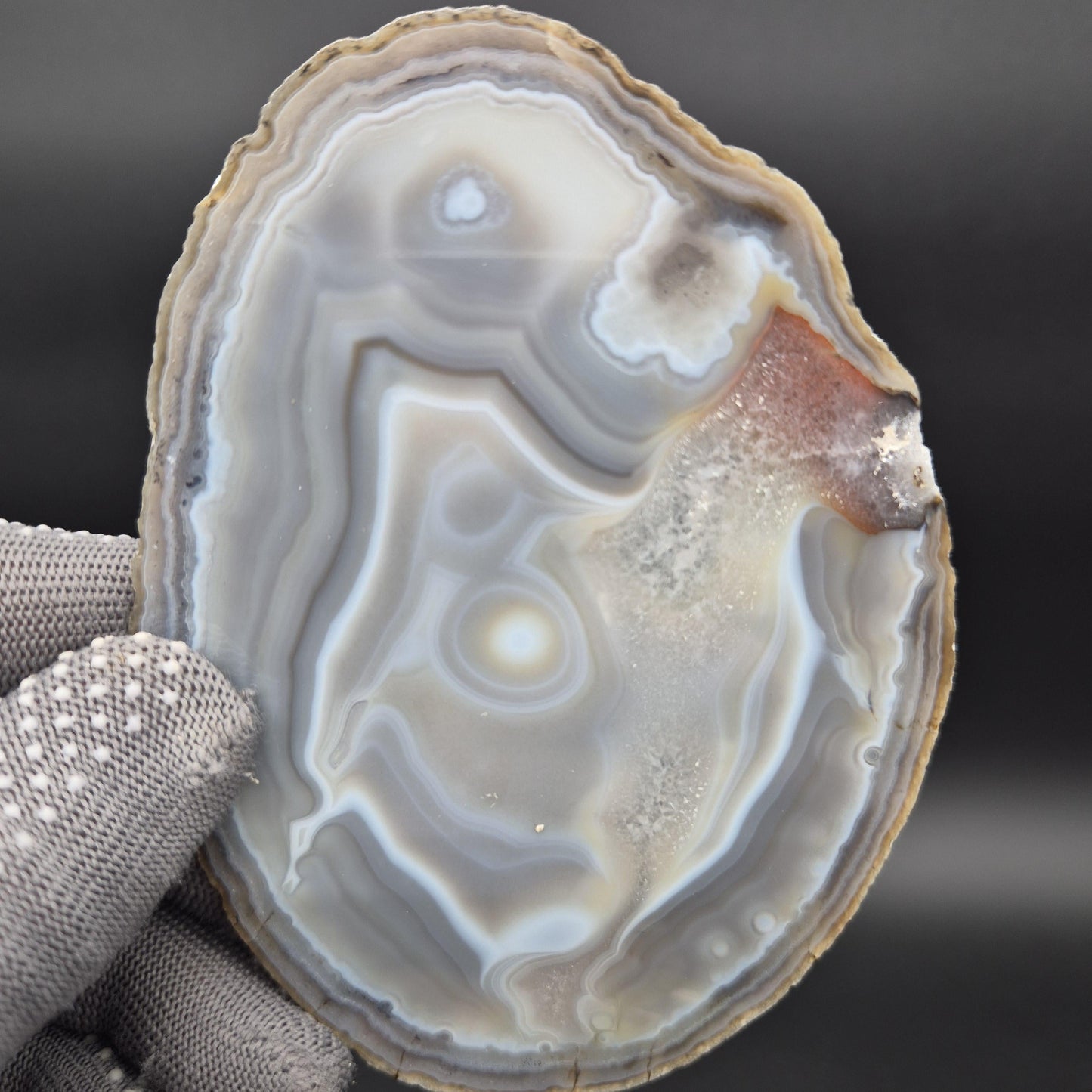 Natural Translucent Agate Slices - Set of 3 | 4in, 4.5in, 5in | Polished Quartz Crystal Decor | 0.55 lbs Crystal Hoarder