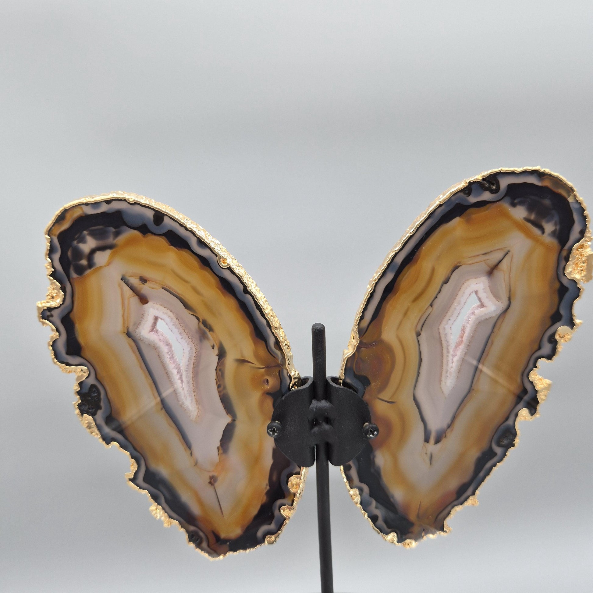 Super Rare Natural Agate Butterfly Wings with Gold Plating | Brazil Agate Sculpture | One of a Kind Crystal Display | Collector Specimen Crystal Hoarder