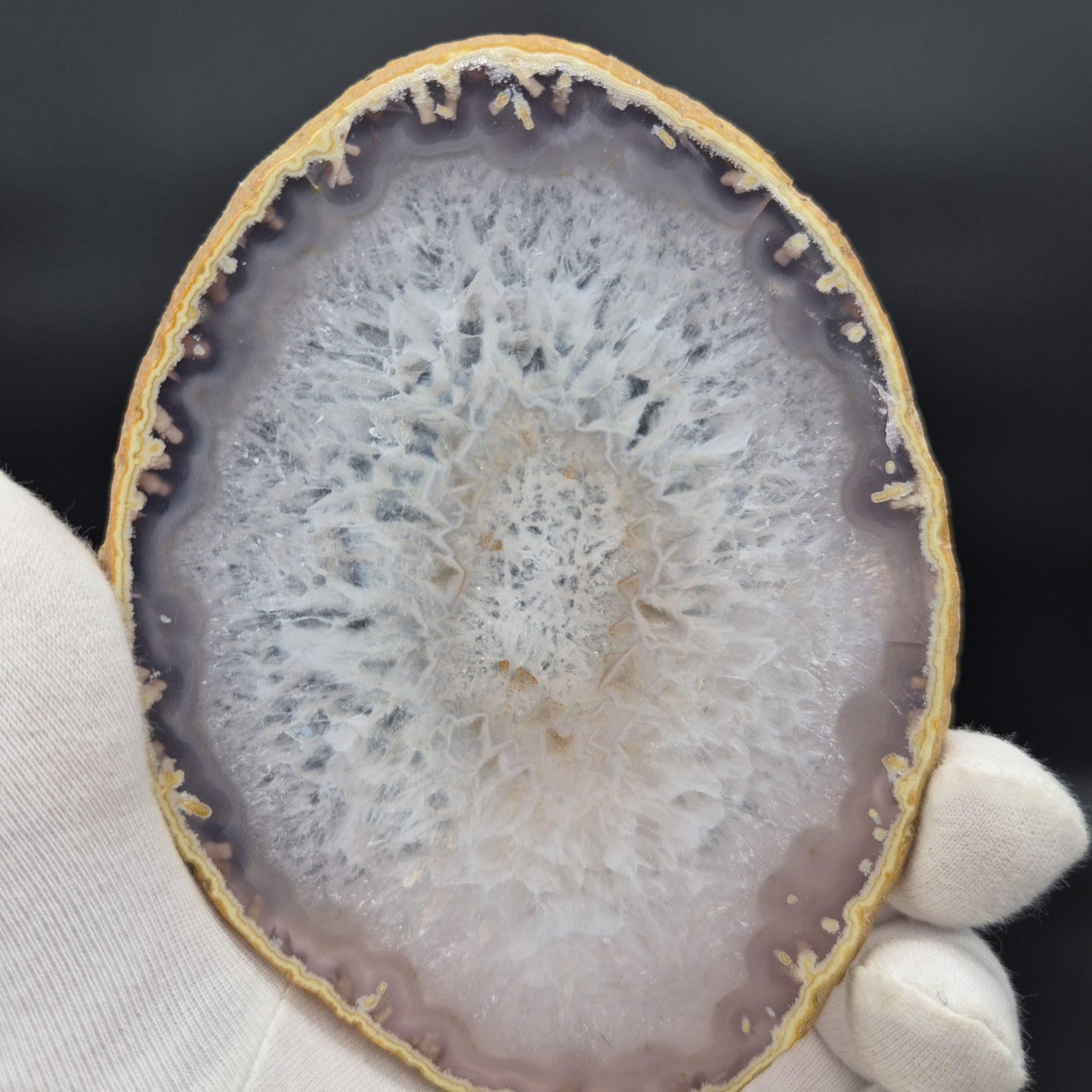 Set of 10 Agate Slices with Quartz | 2.43 lbs Total | 4in Natural Crystal Slices | Polished Gemstone Decor | Collector Grade Display Pieces Crystal Hoarder