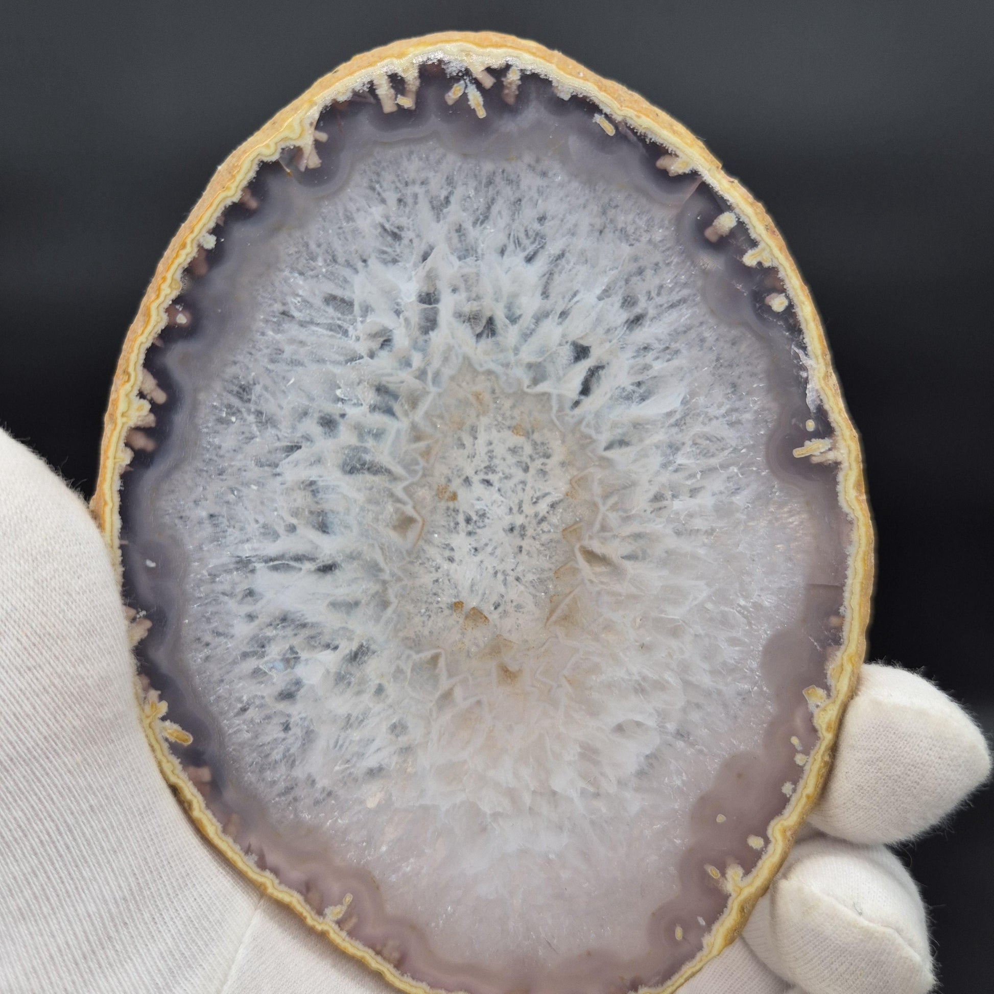 Set of 10 Agate Slices with Quartz | 2.43 lbs Total | 4in Natural Crystal Slices | Polished Gemstone Decor | Collector Grade Display Pieces Crystal Hoarder