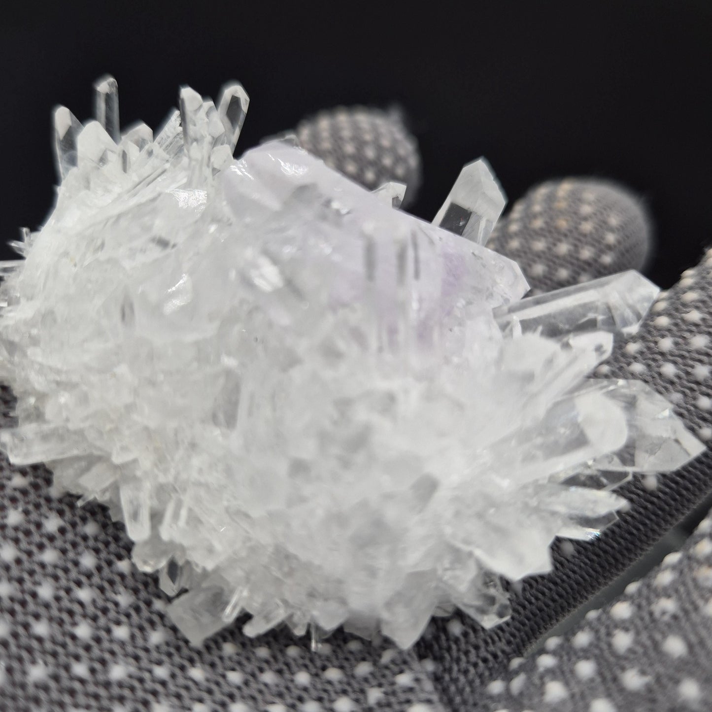 Rare AAA+ Double Terminated Phantom Amethyst Chrysanthemum Crystal Cluster | Natural Quartz Specimen | 4 oz Crystal Hoarder