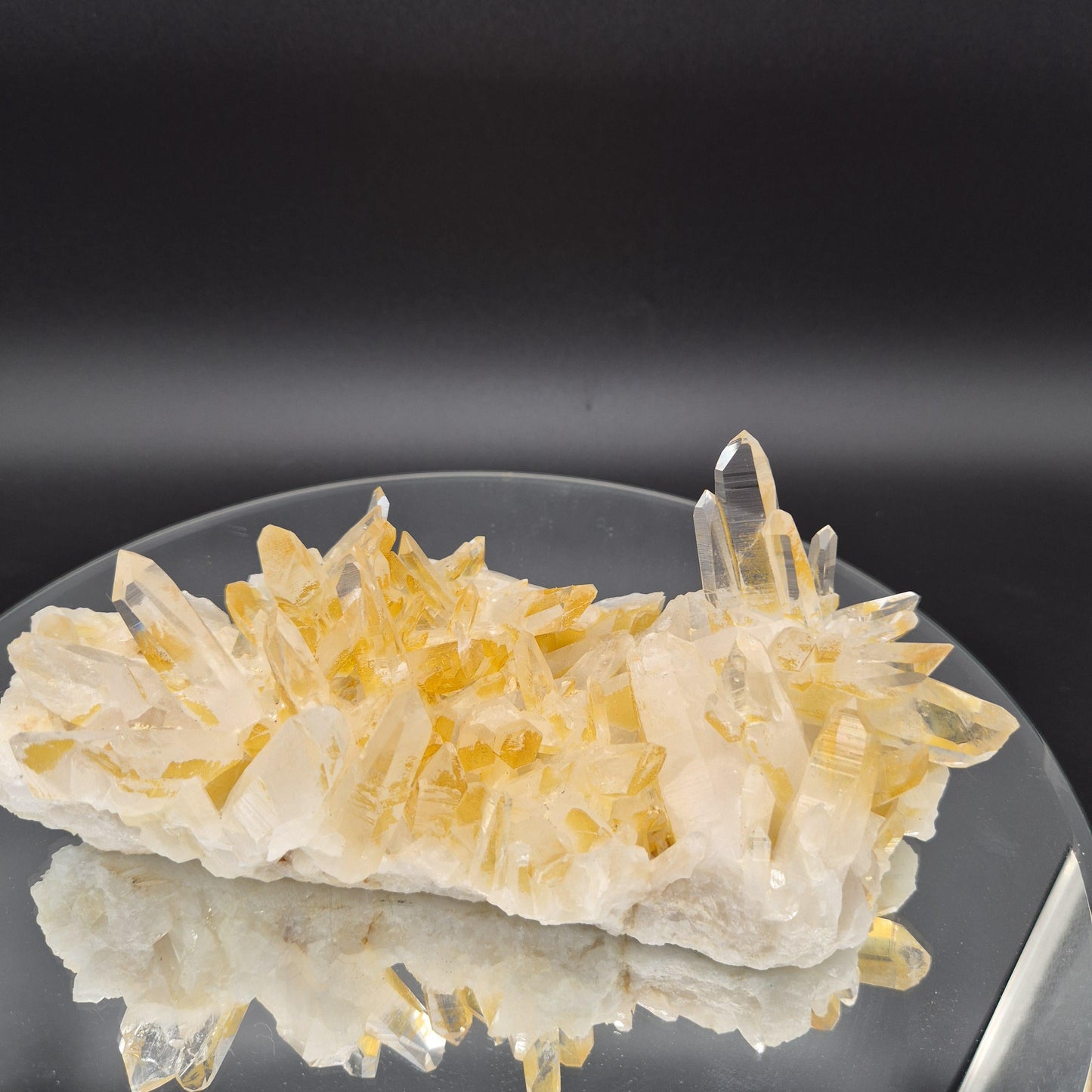 AAA+ Museum Grade Lemurian Golden Healer Quartz Cluster - Colombia | Water Clear Points | 8.5 x 4.5in | 2.55 lbs Crystal Hoarder