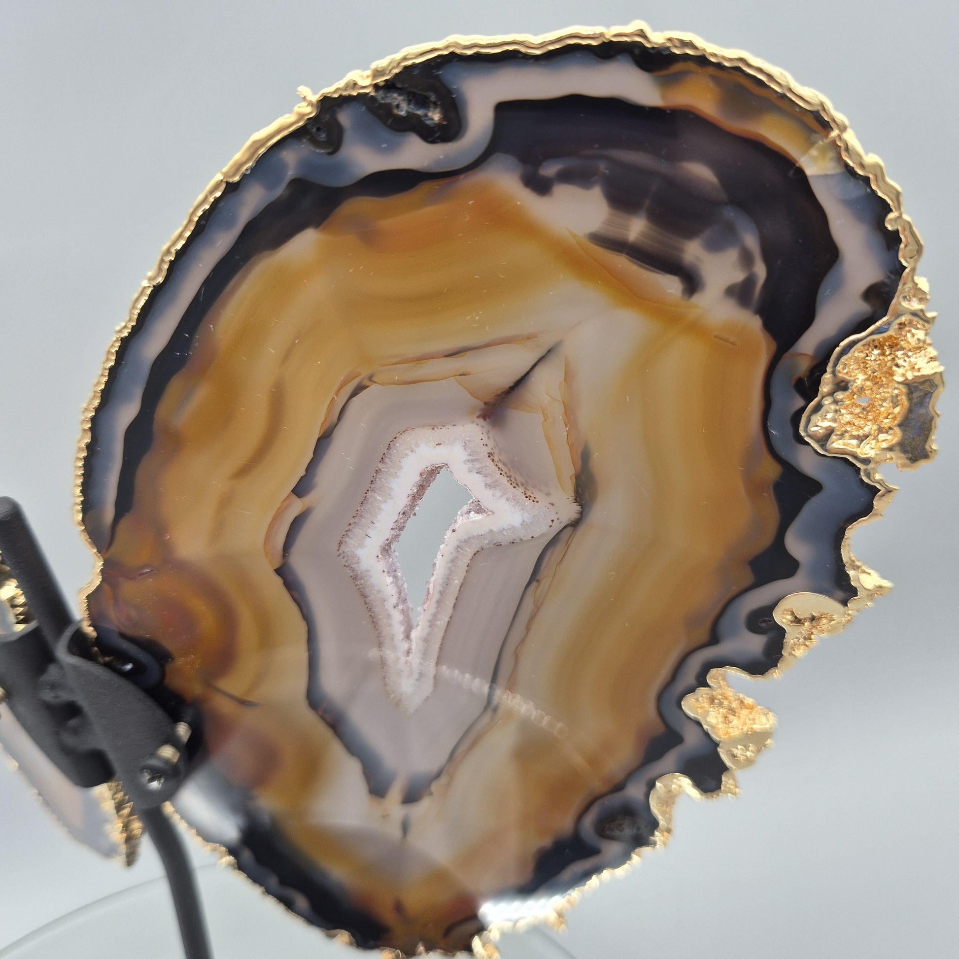 Super Rare Natural Agate Butterfly Wings with Gold Plating | Brazil Agate Sculpture | One of a Kind Crystal Display | Collector Specimen Crystal Hoarder