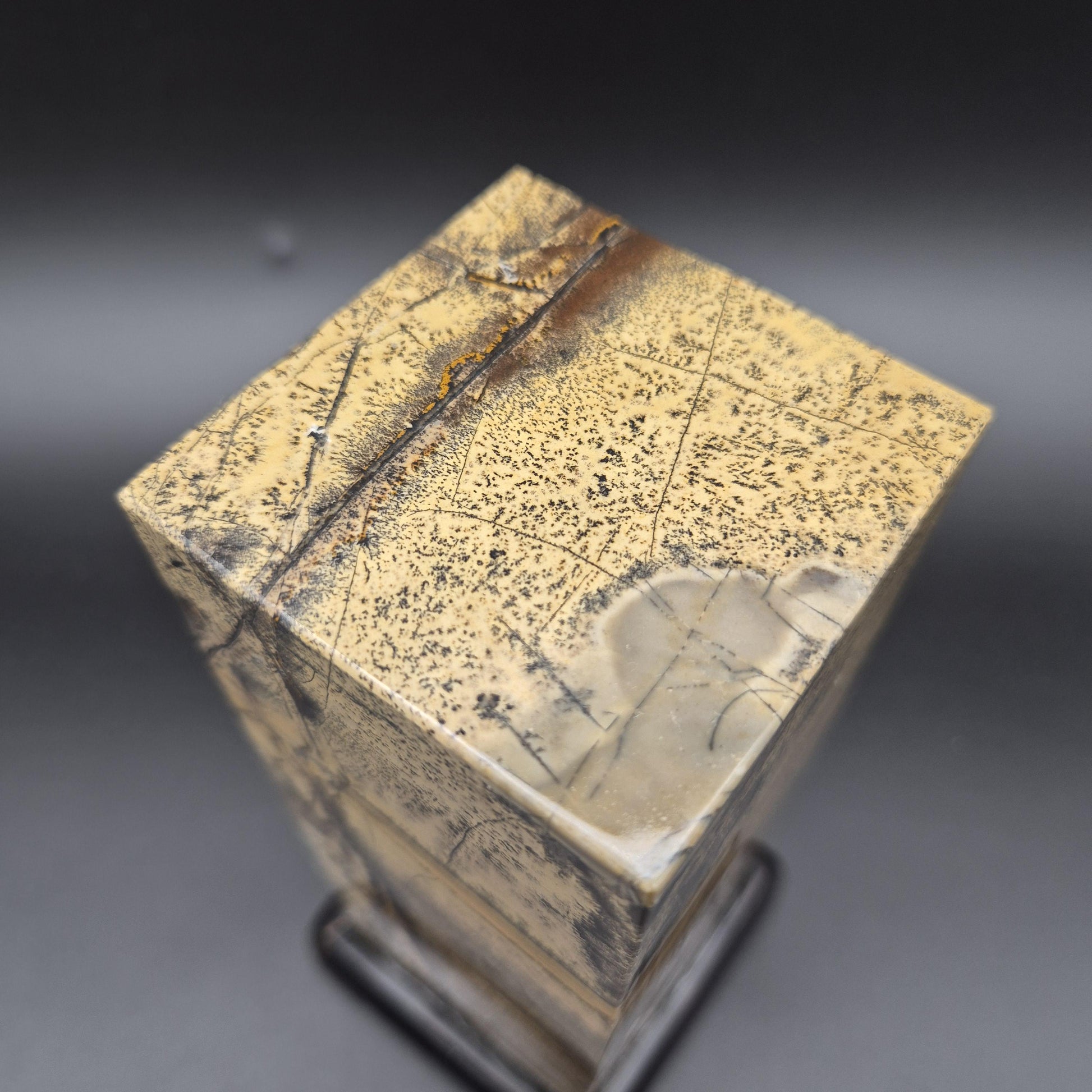 AAA+ Picture Jasper on Wood Base | Natural Scenic Stone Display | 3.37 lbs Crystal Hoarder
