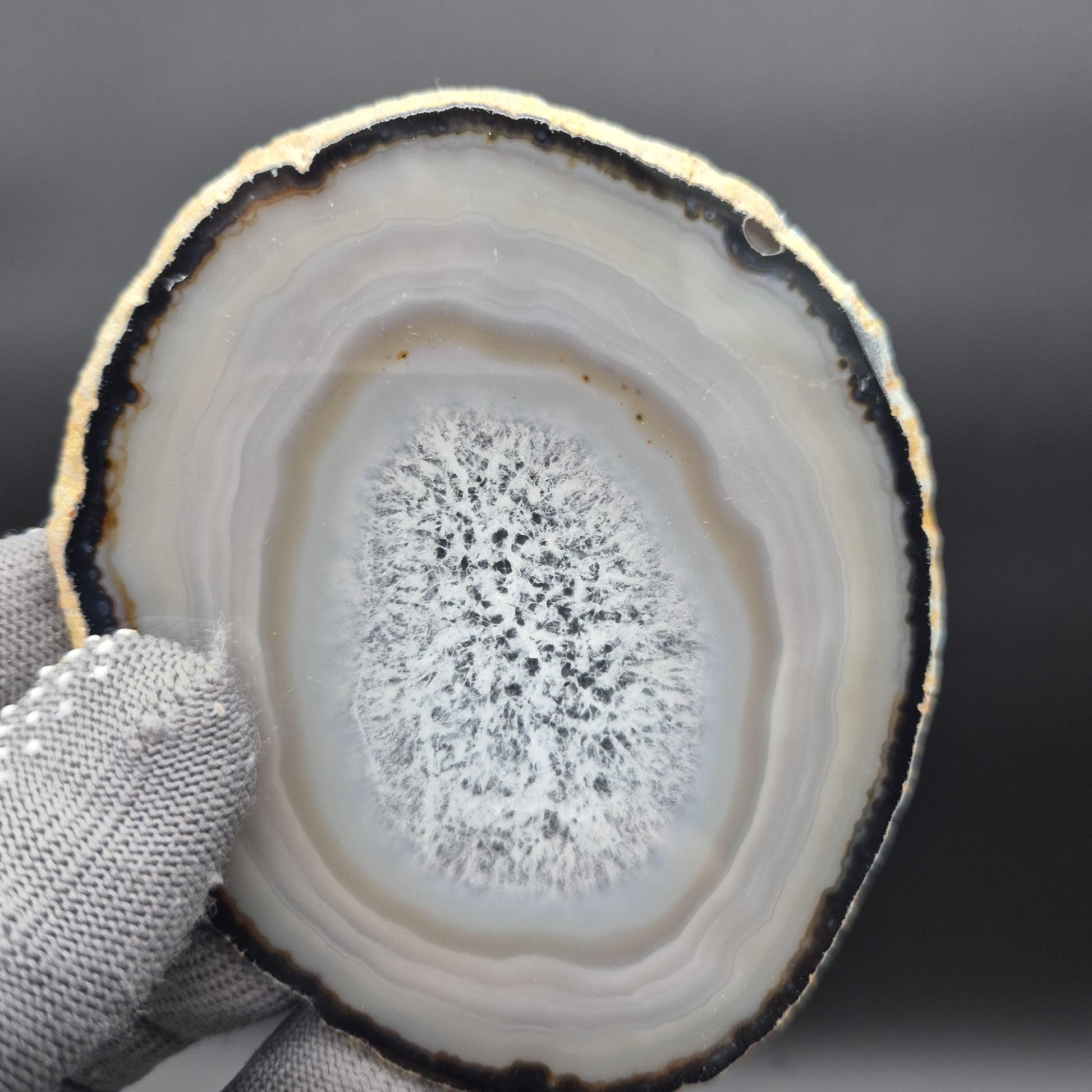 Set of 10 Translucent Agate Slices - 4in Round | One Amethyst Druzy | Natural Quartz | 2.45 lbs Crystal Hoarder