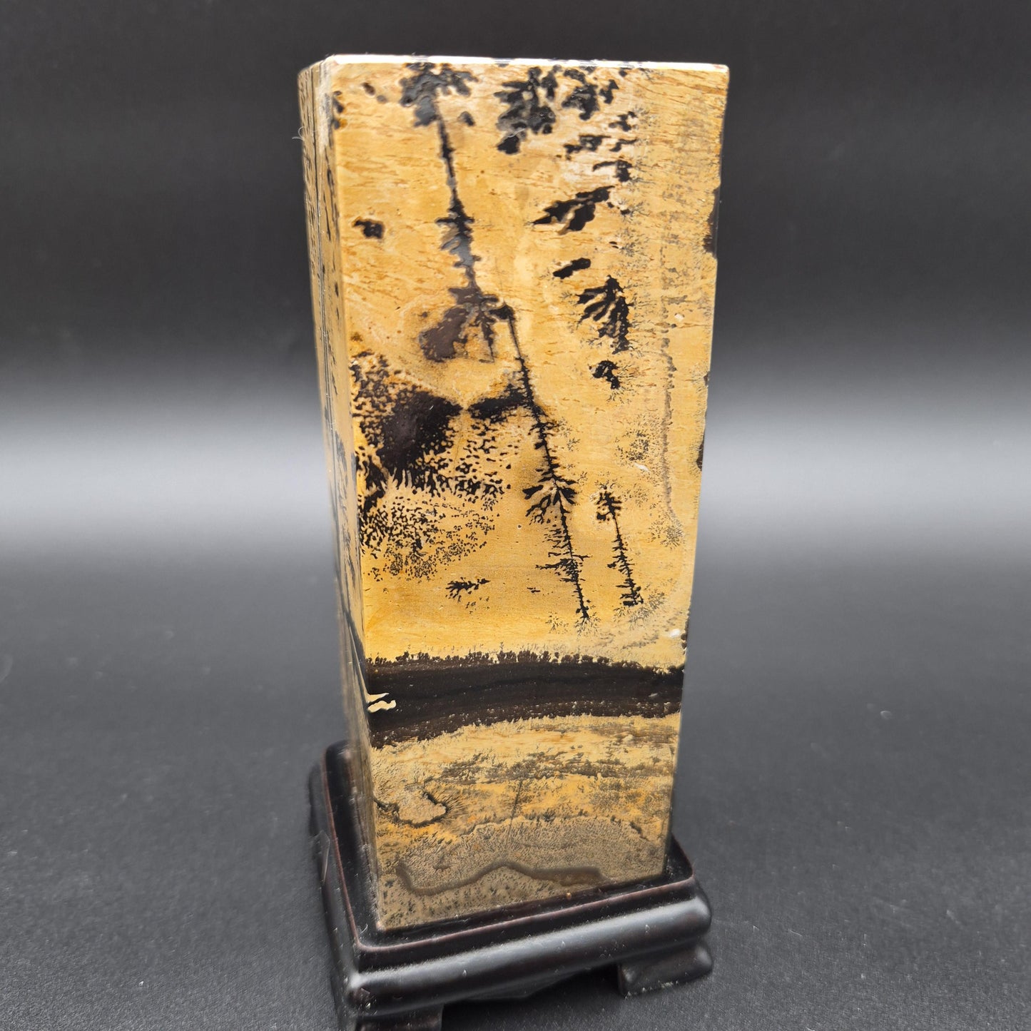 AAA+ Picture Jasper on Wood Base | Natural Scenic Stone Display | 3.16 lbs Crystal Hoarder
