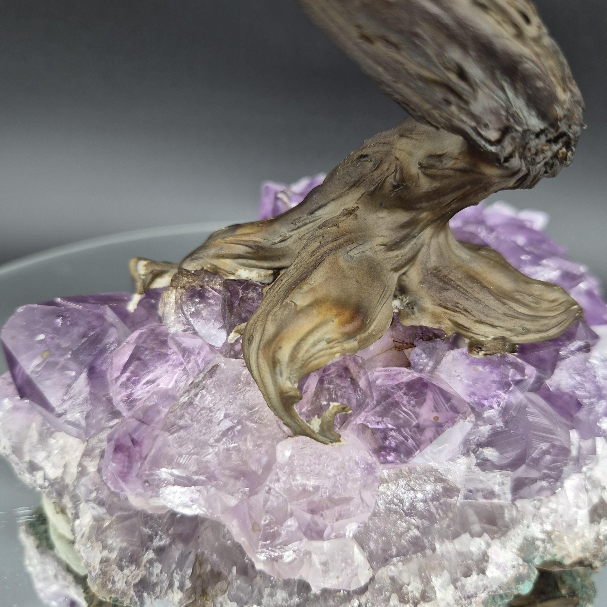 Hematite Crystal Tree on Premium Brazil Amethyst Base - Large Amethyst Cluster Sculpture - Mineral Specimen Décor - 4.89 lbs | 10.5in Tall Crystal Hoarder