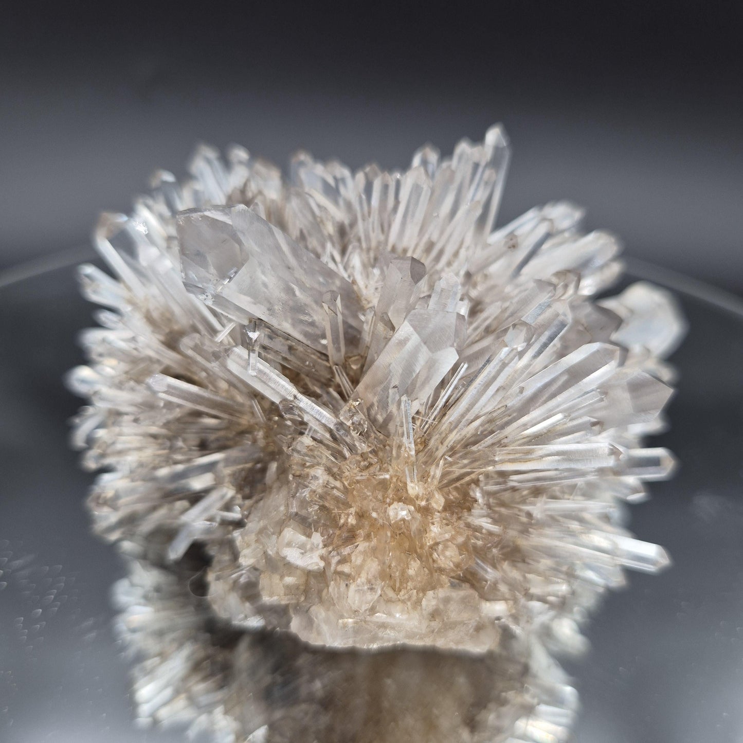 Rare AAA+ Temple Heart Starburst DOW Chrysanthemum Lemurian Quartz Cluster | Bolivar Mine Colombia | 1.28 lbs Crystal Hoarder