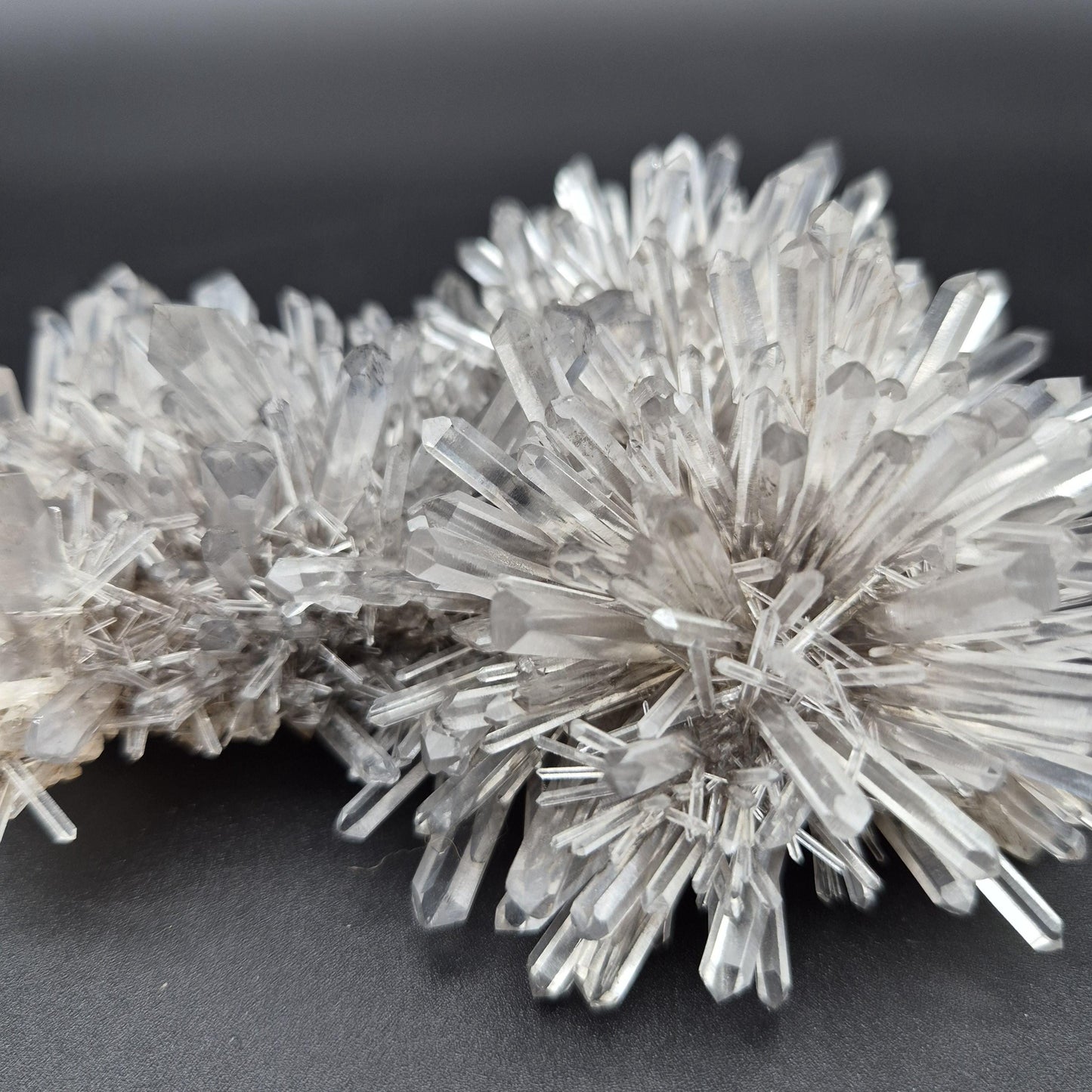 Rare DOW Chrysanthemum Lemurian Quartz Cluster with Pyrite Colombia 0.81 lbs Crystal Hoarder Crystal Hoarder